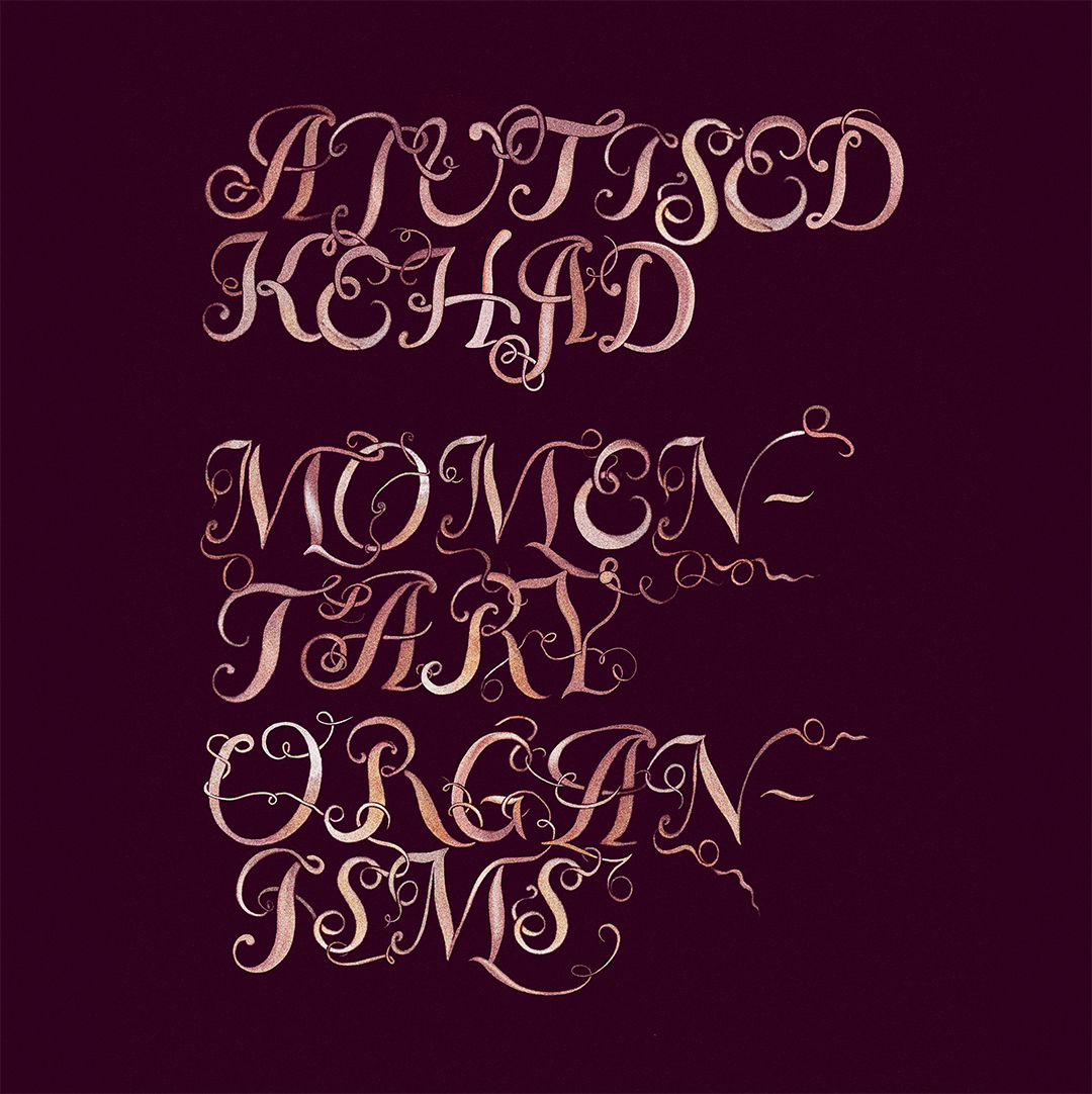 Momentary Organisms
