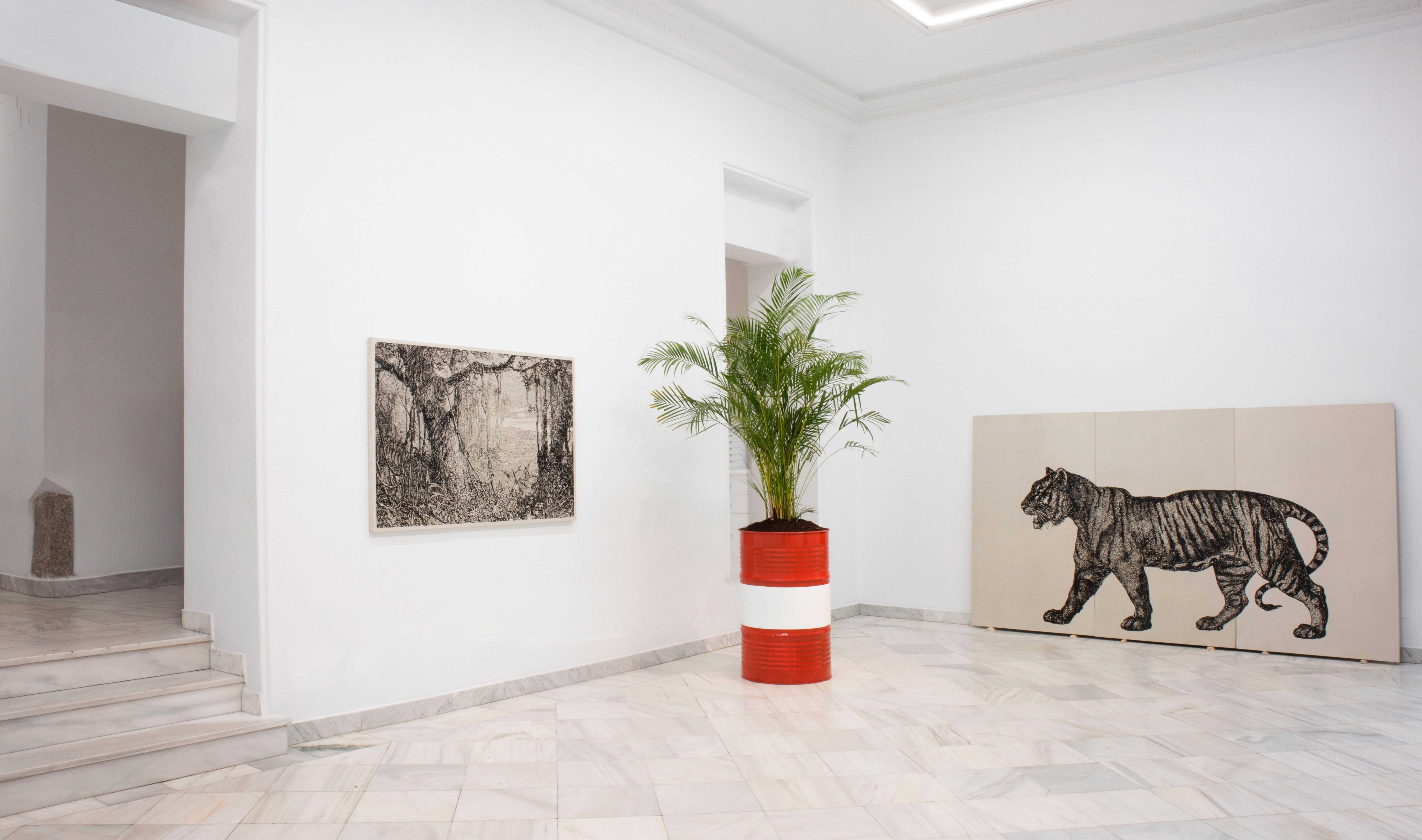 Edwin Monsalve. Memoria vegetal