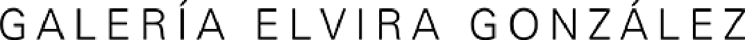ITGallery Logo