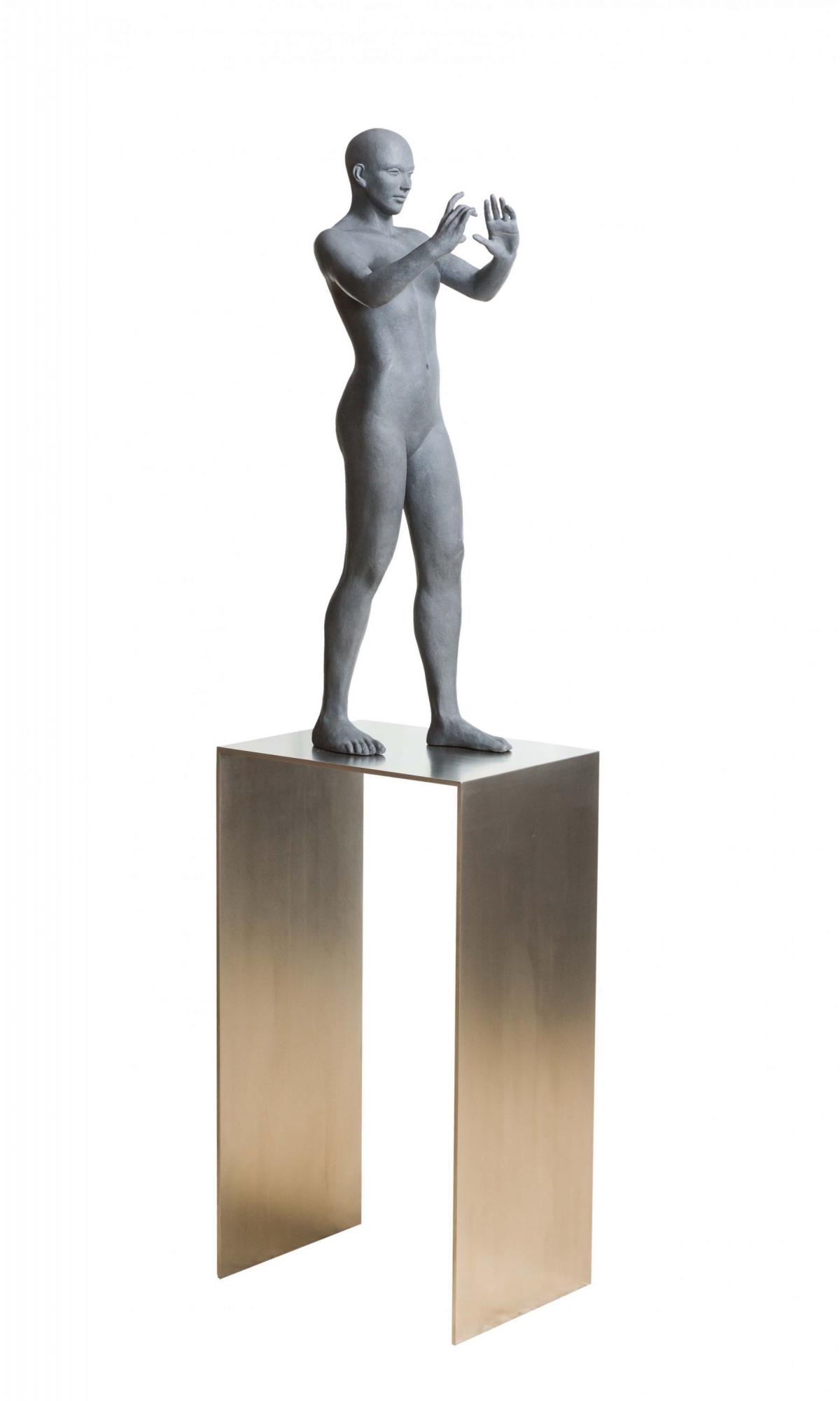 Fotógrafo III. Ed. 6