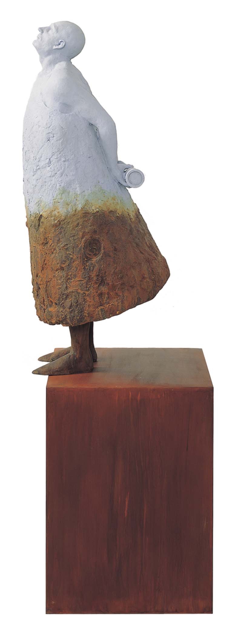 Soñando estrellas II. Ed. 6