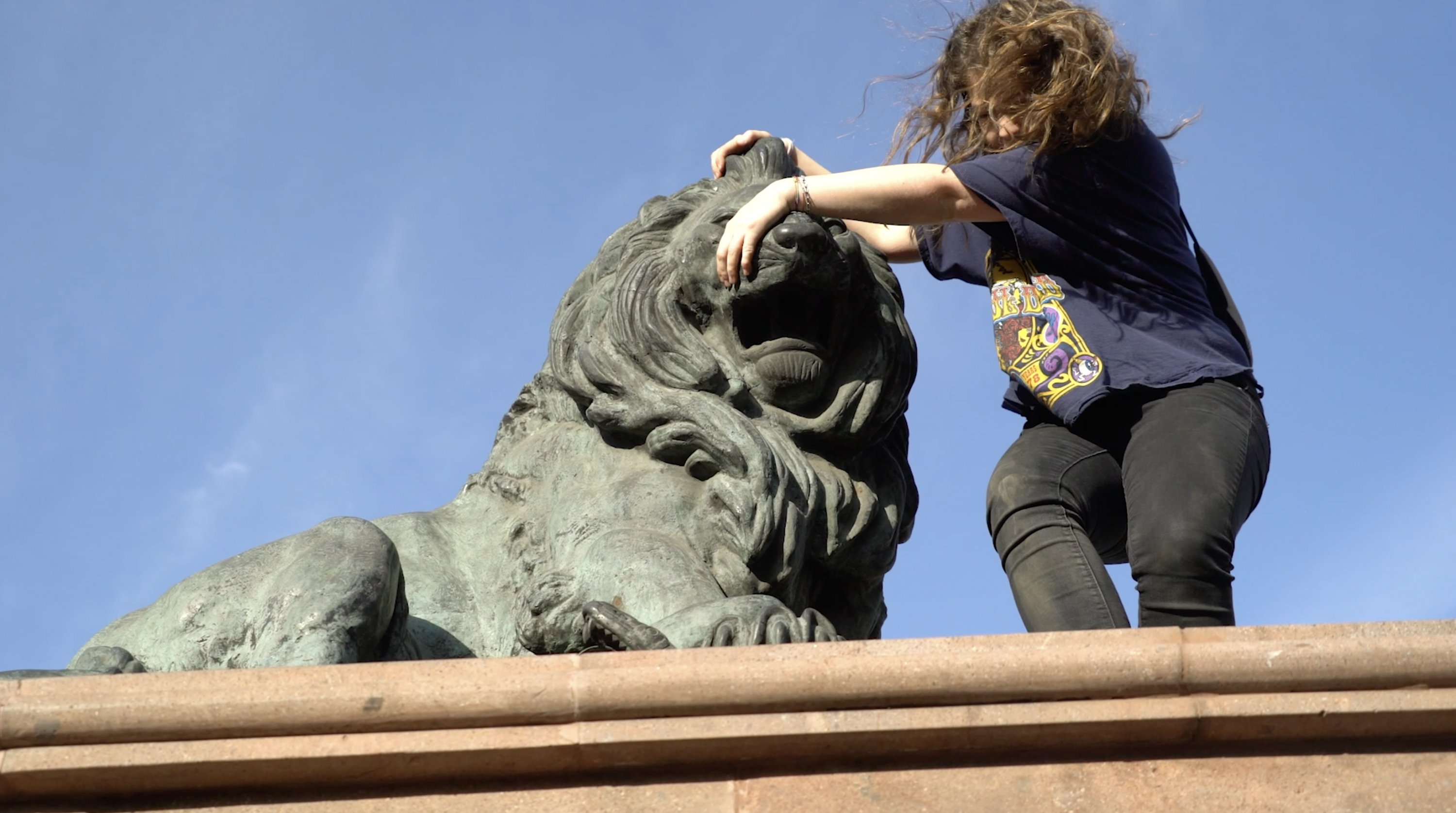 Tigres prestidigitadores 