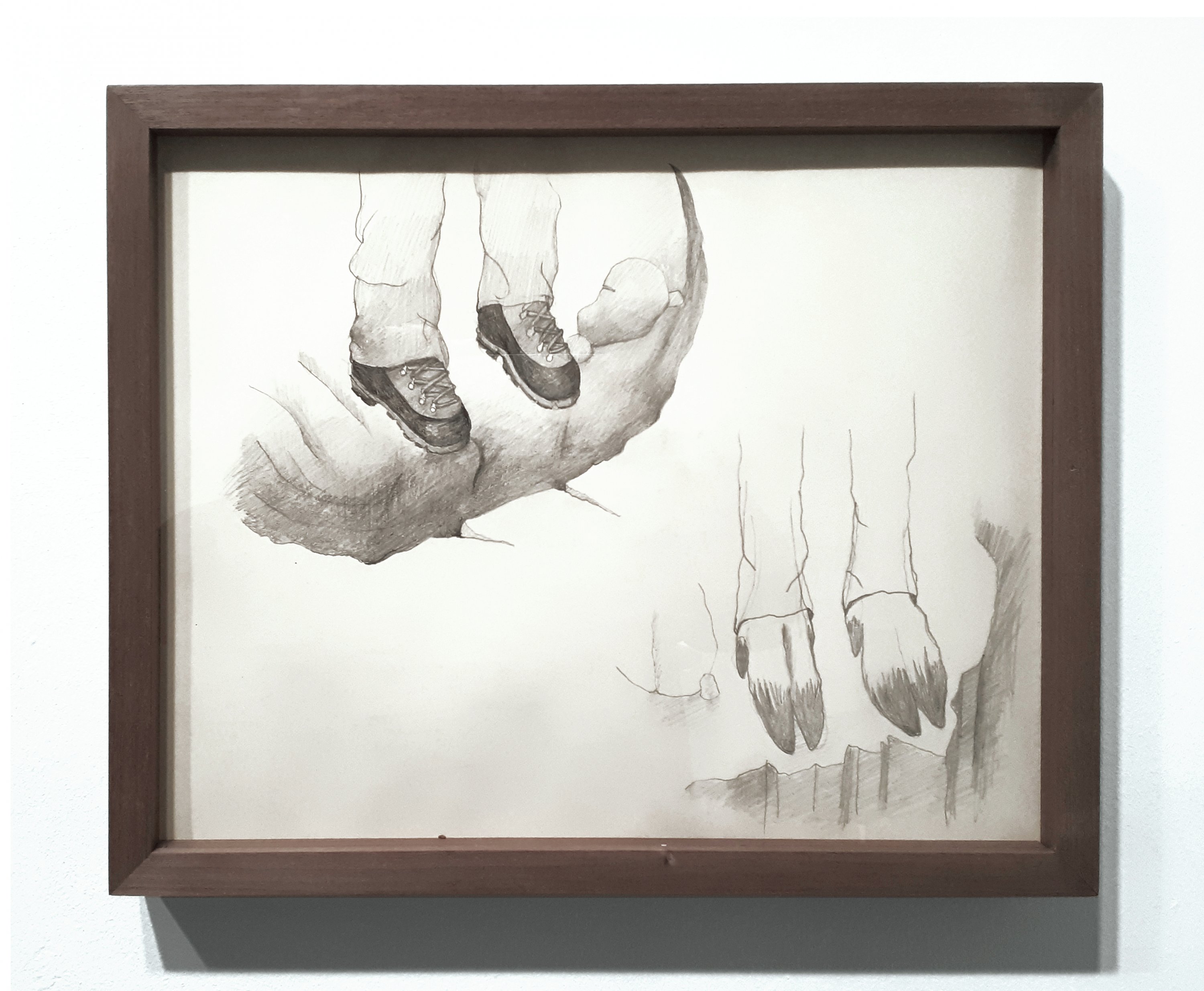 “Pies de corzo” Dibujo preparatorio