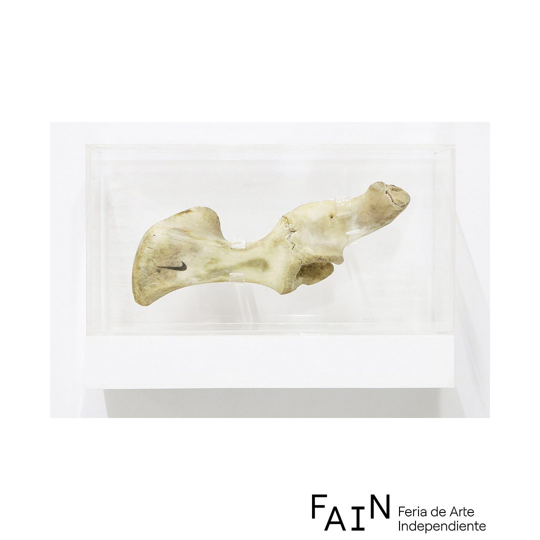 NIKE BONE. JOINT