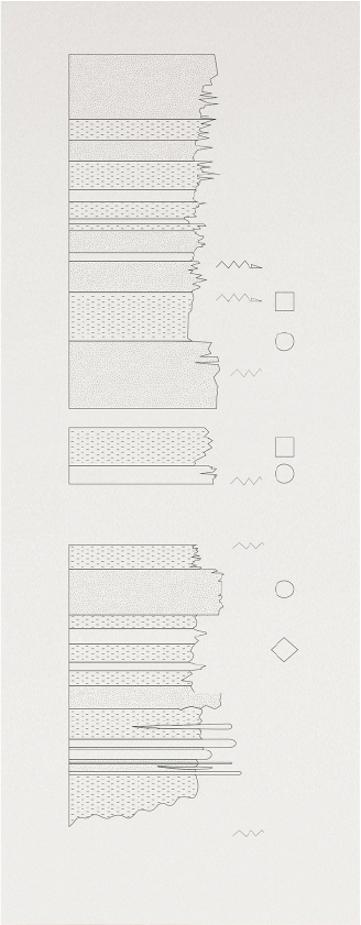Columna estatigráfica IV