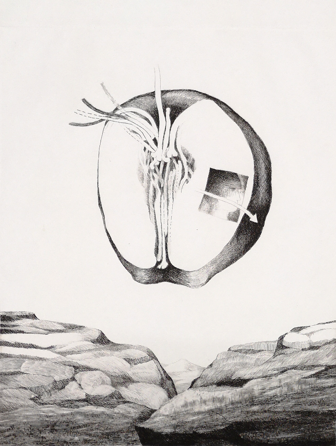 Ovnimanzana