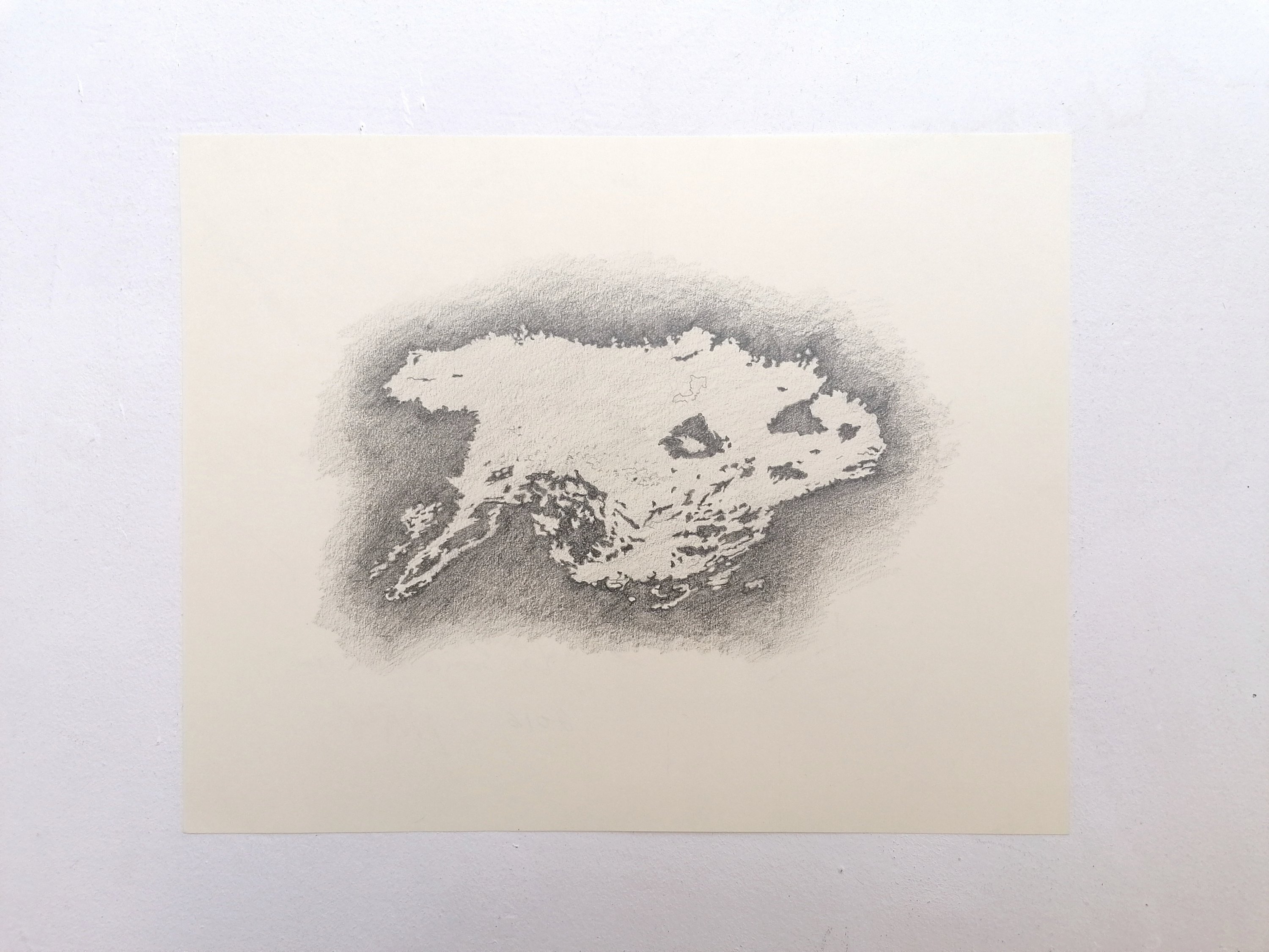 “Perímetro” Dibujo preparatorio