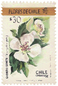 Flores de Chile