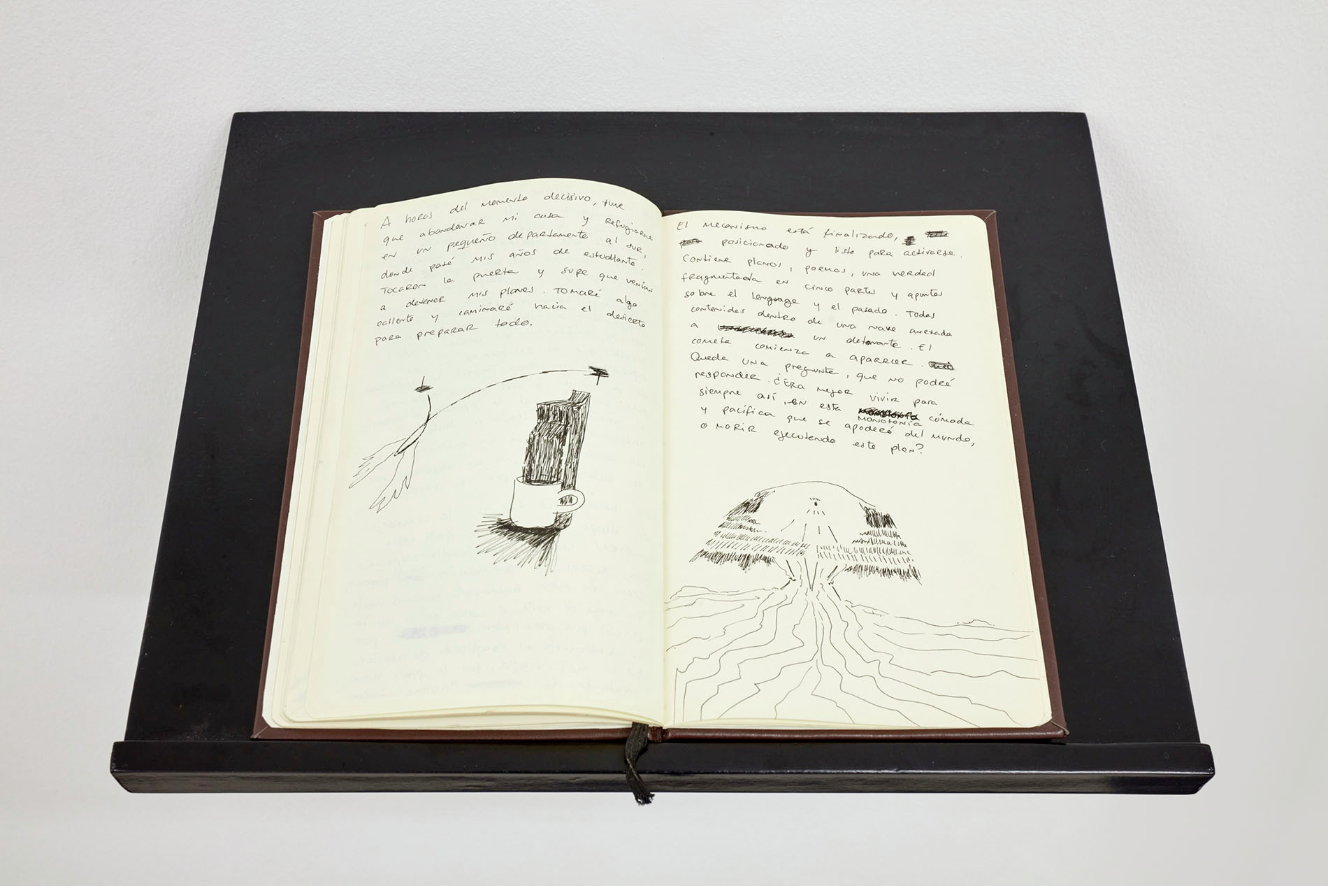 Diario de Conrad B. Rallard
