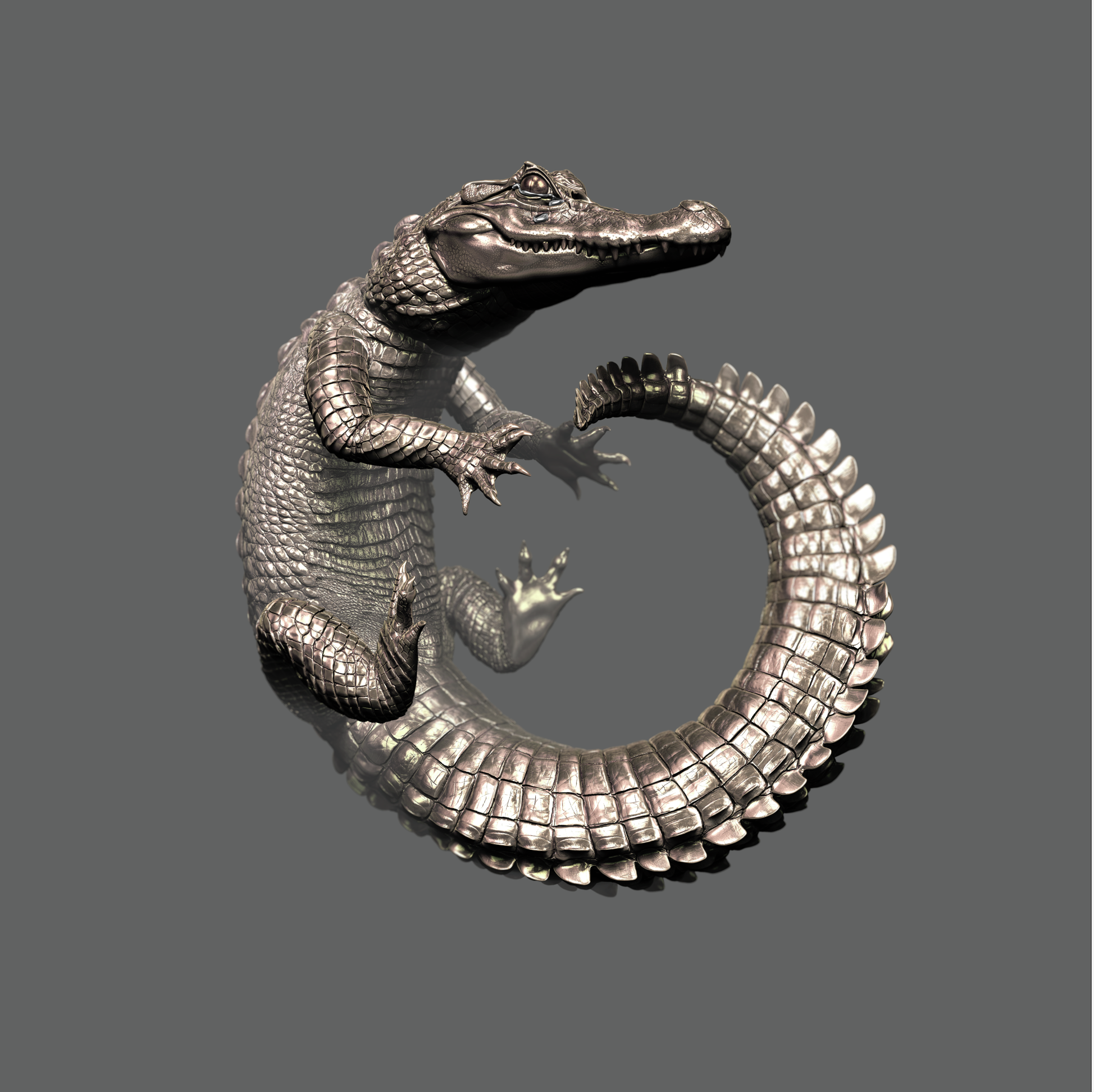  Jacaré negro/ Melanosuchus Niger