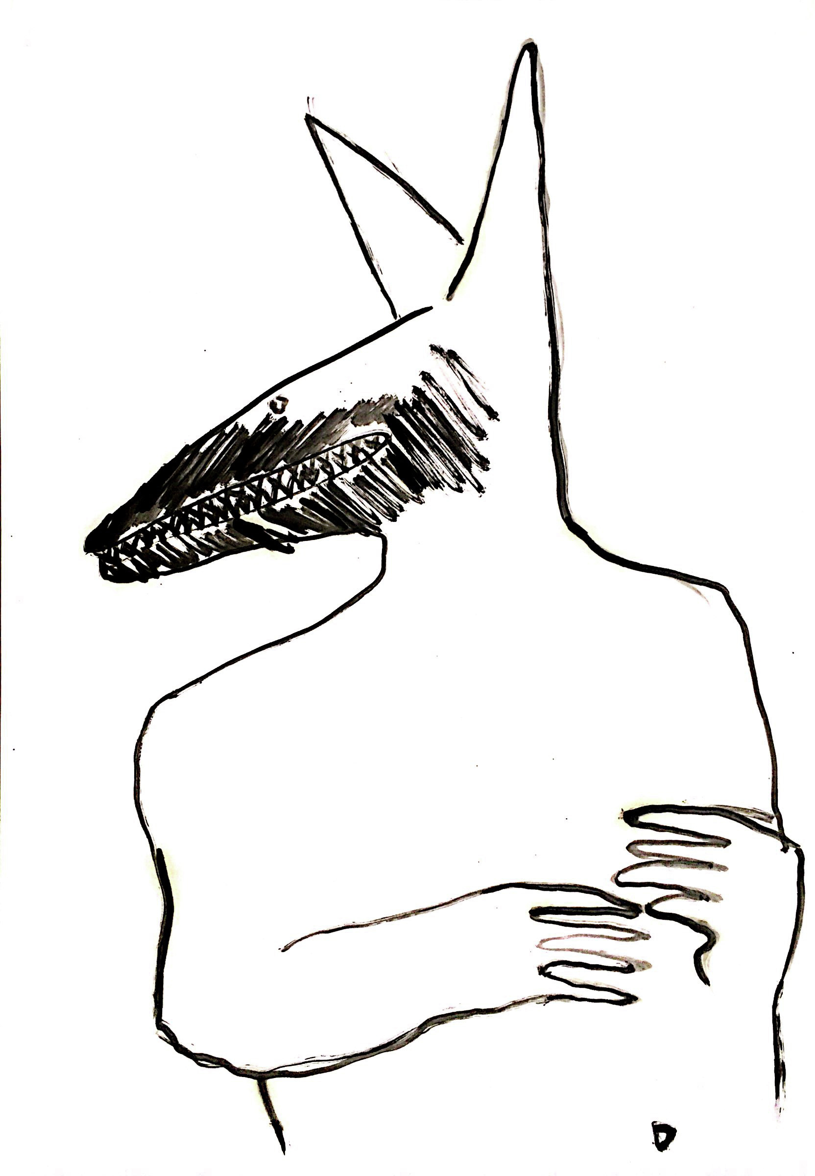 41