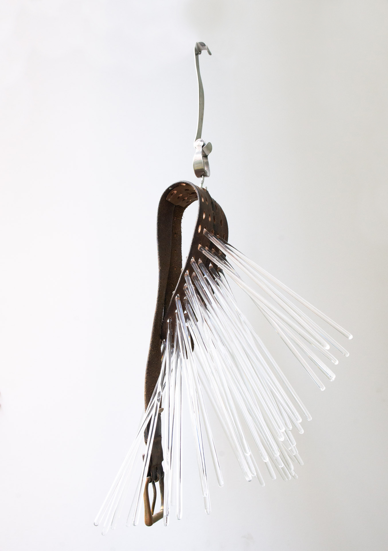 Spine on Hook_02