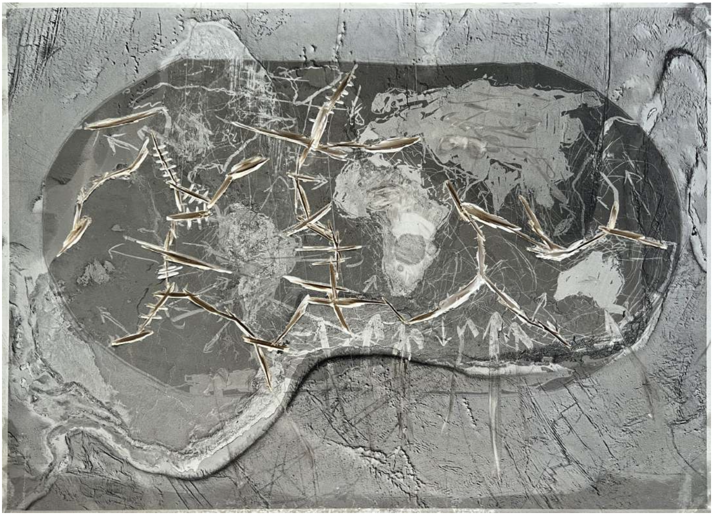Mapa mudo (Tectónica)