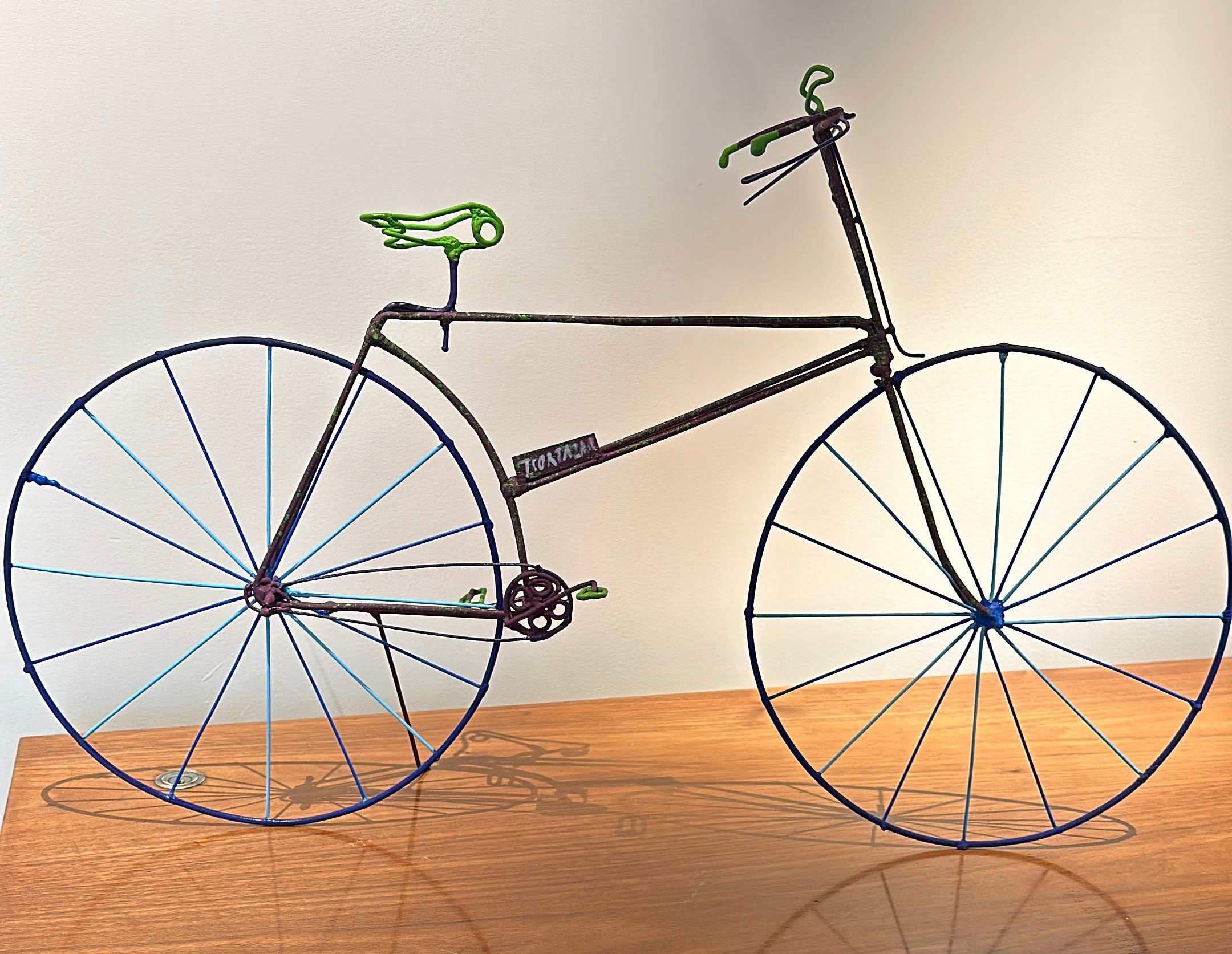 Mi Colorida Bicicleta