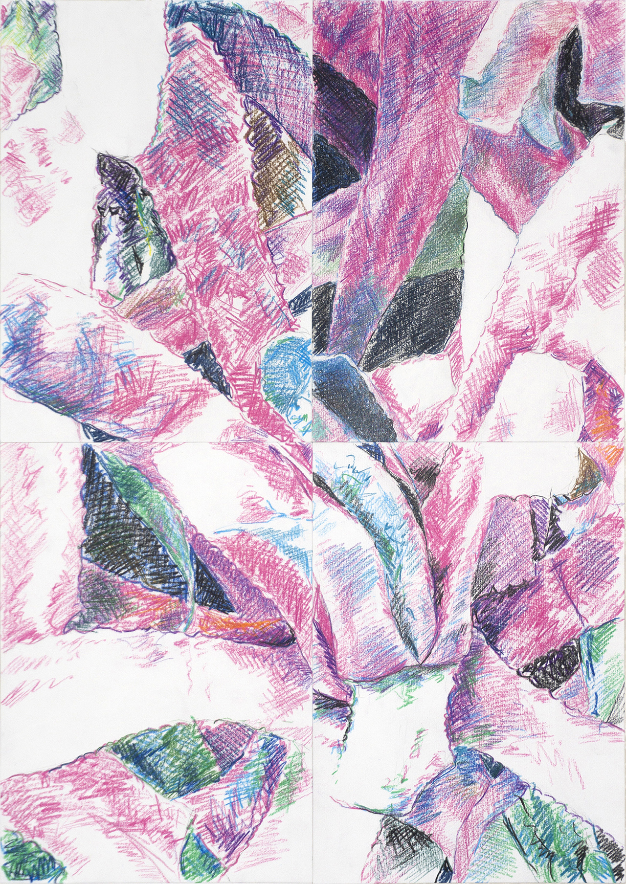 Fairy Maguey 1