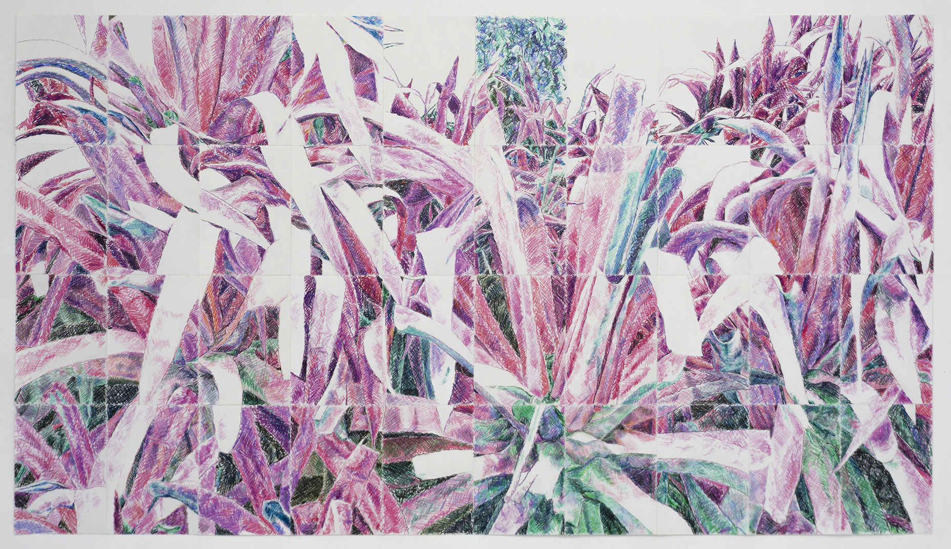 Fairy Maguey 2