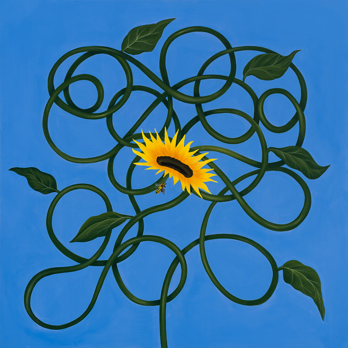 Bee