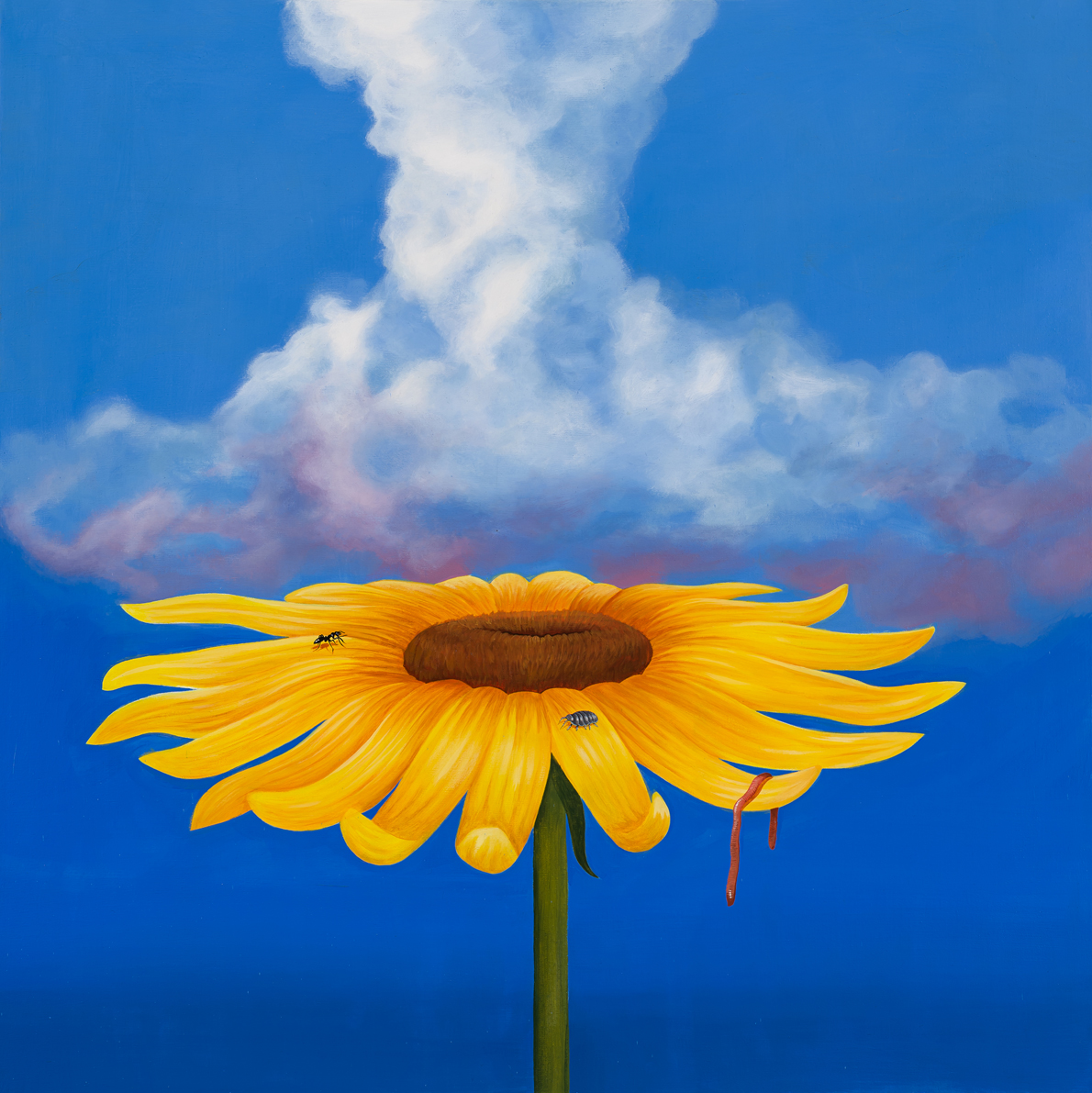Cumulonimbus