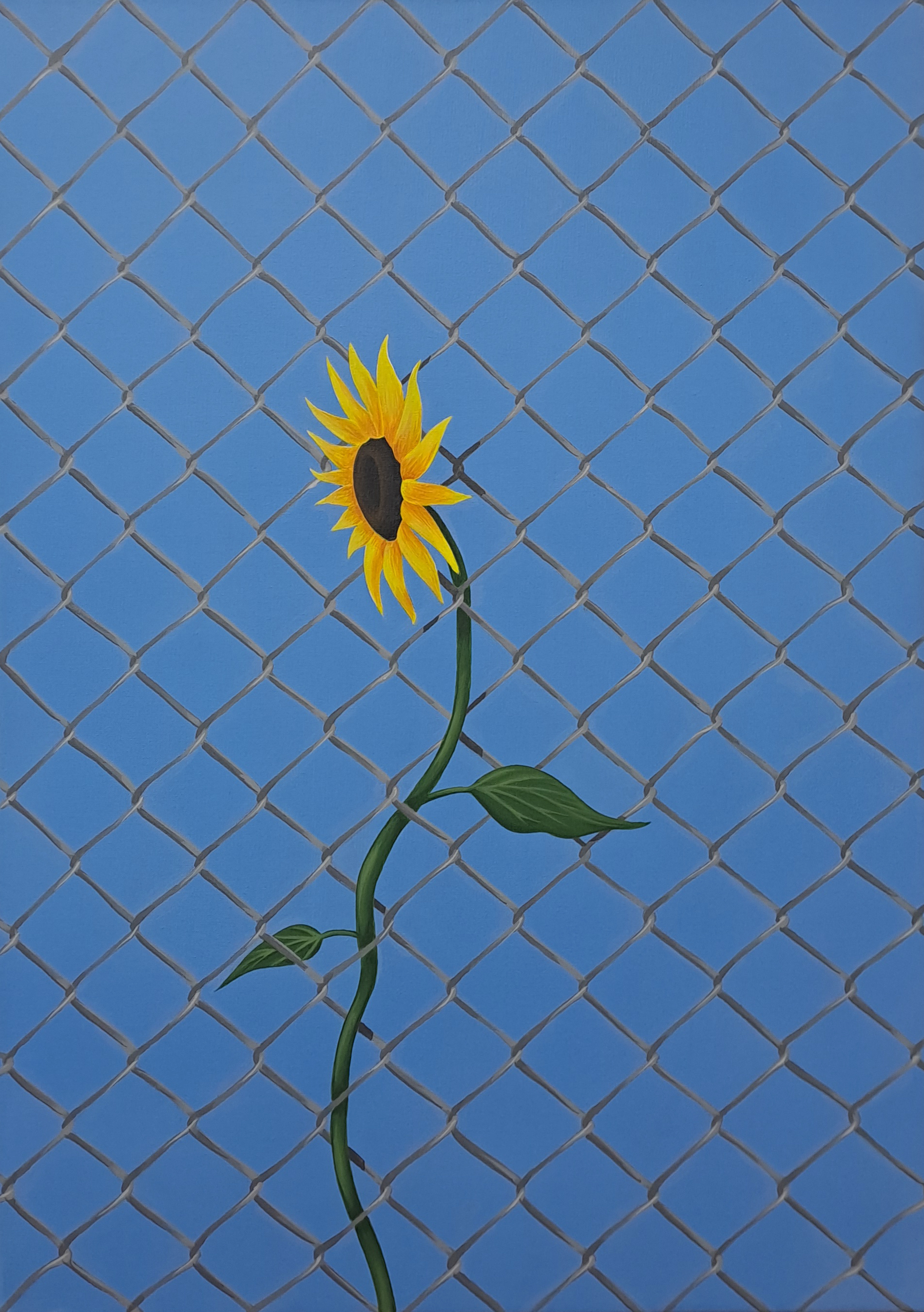 Resiliencia