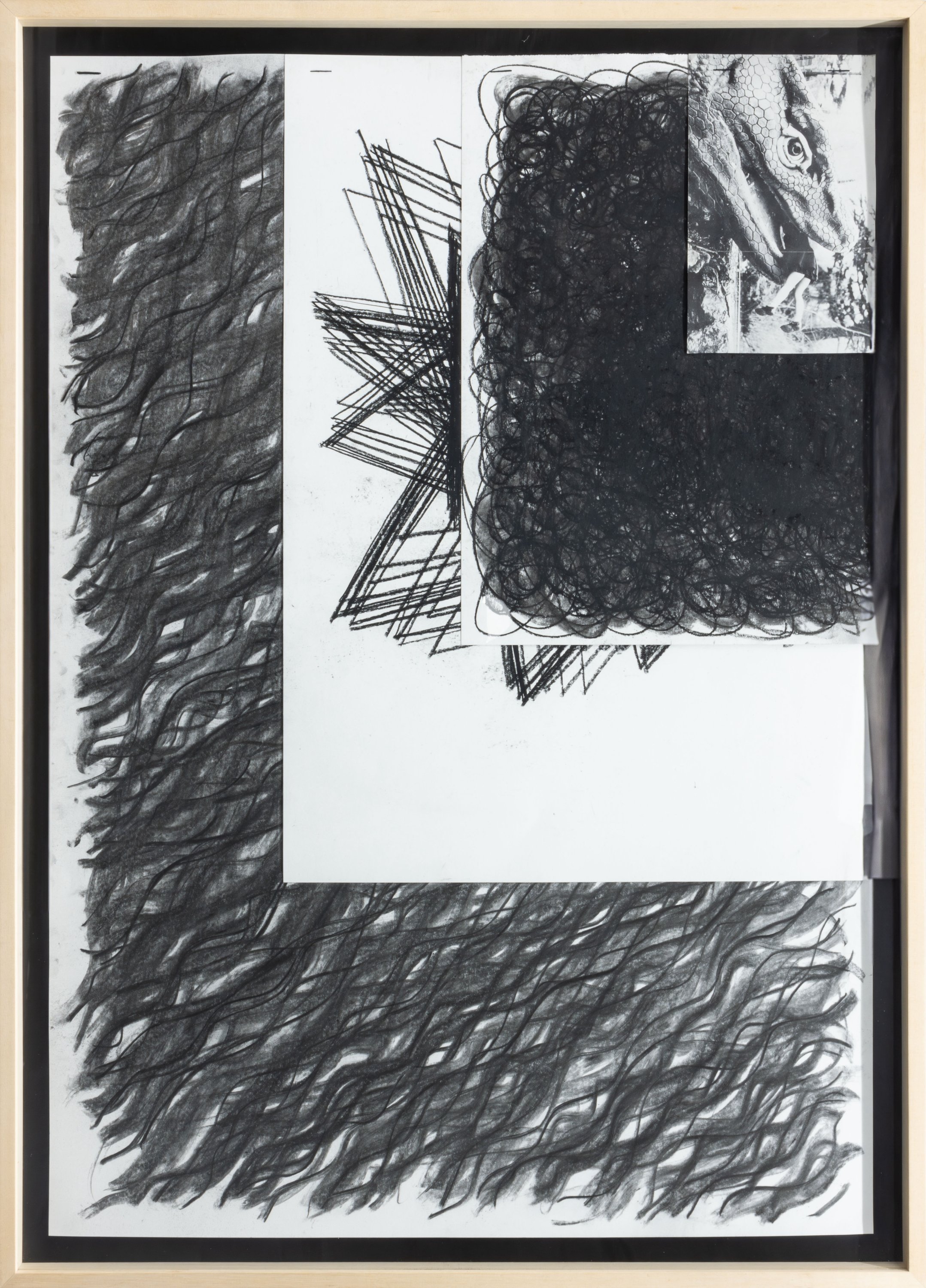 The way things grow I