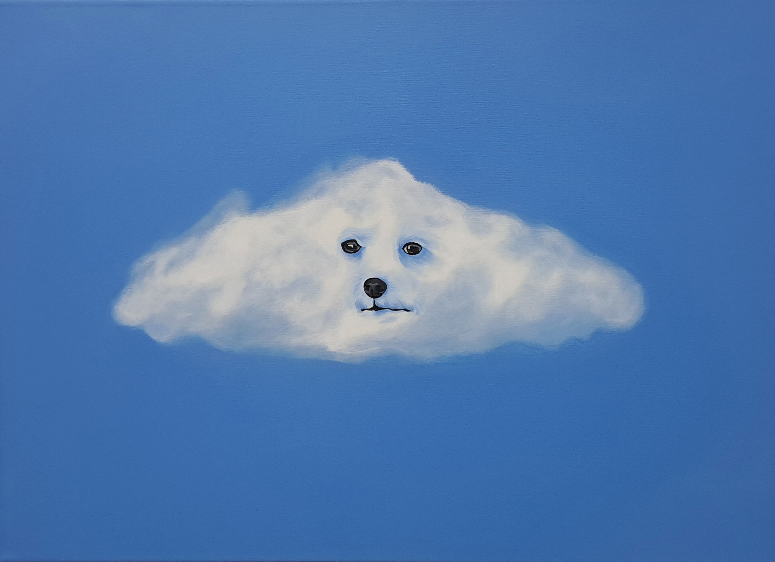 Tobi