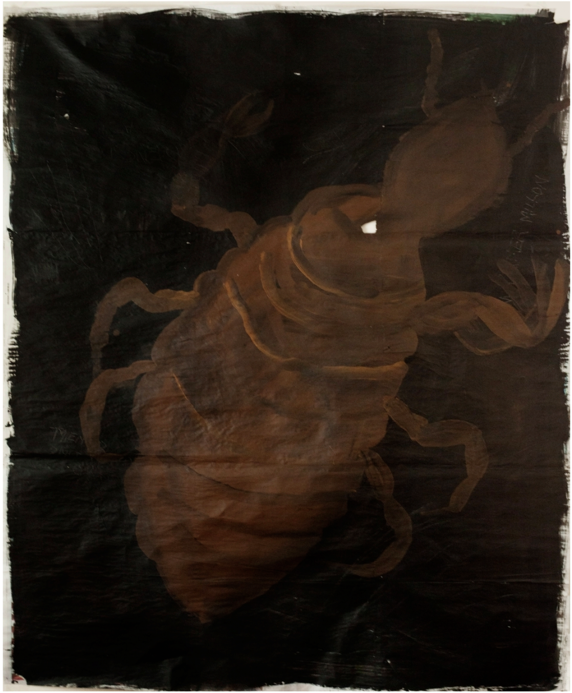 Pioji 1993