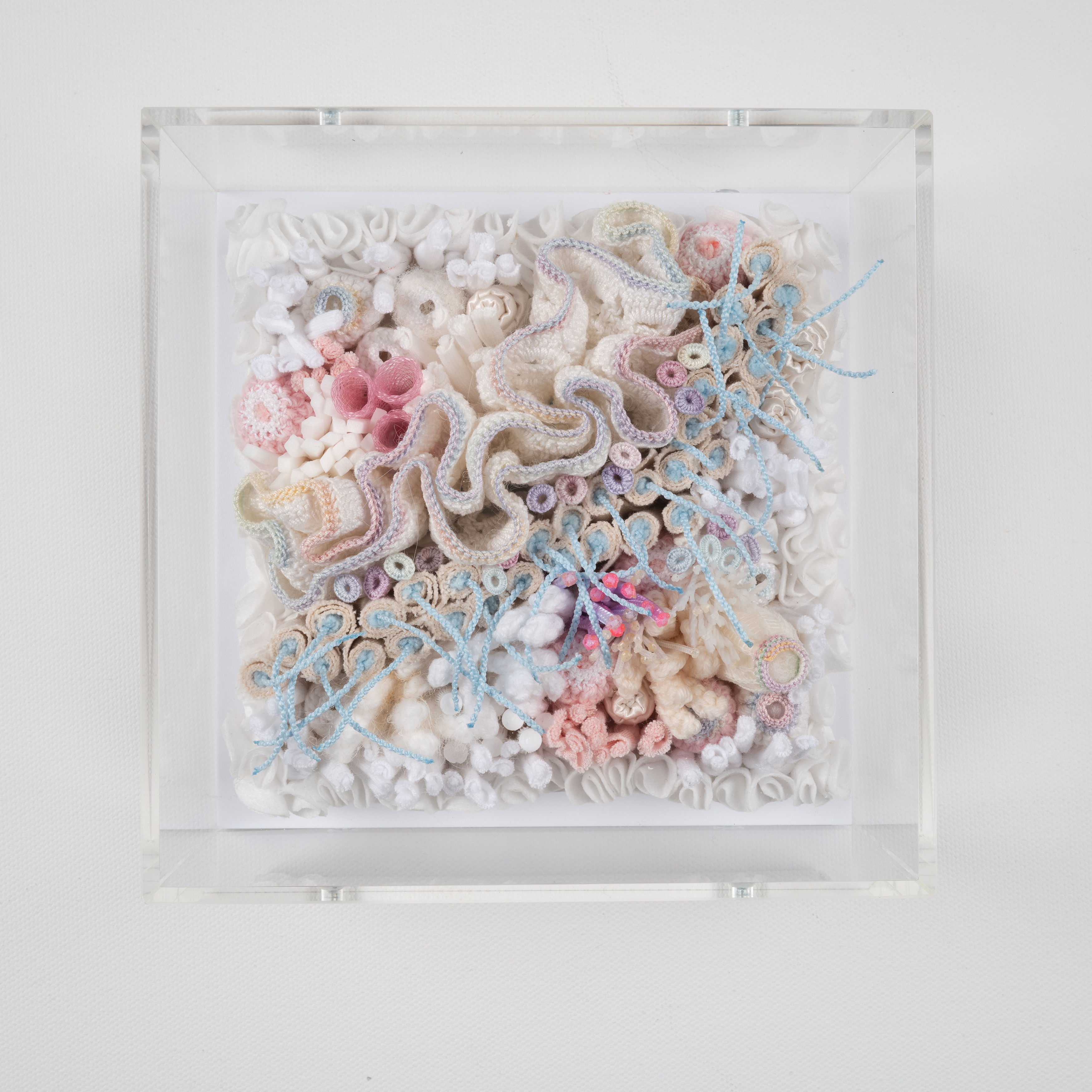 A. Officinalis series