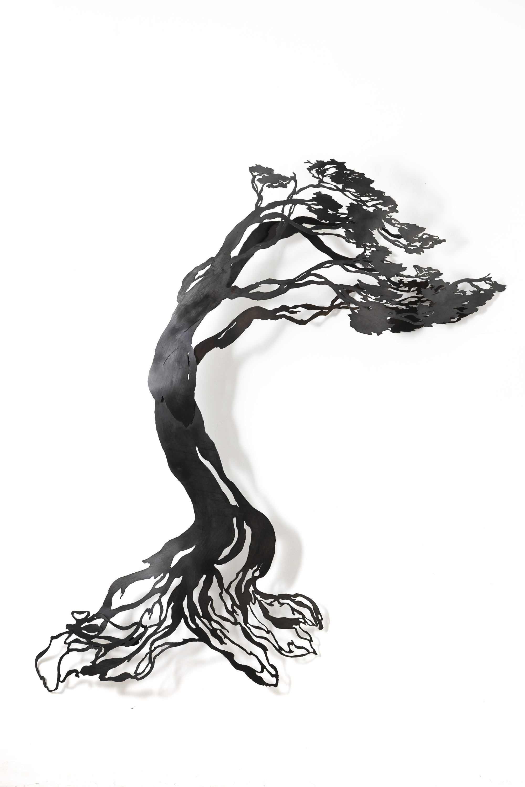 Nothofagus Antártica