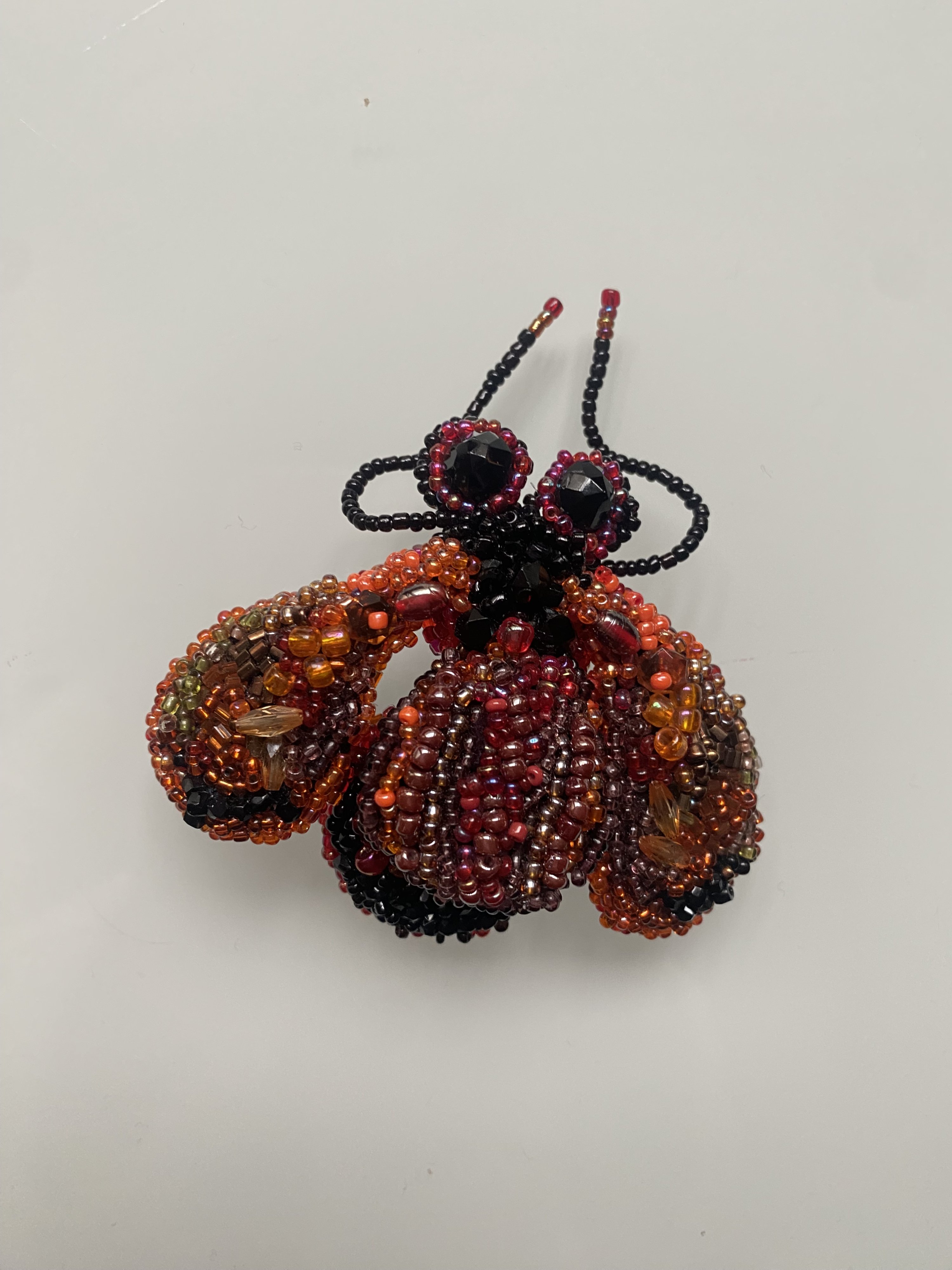 Broche Insecto 6