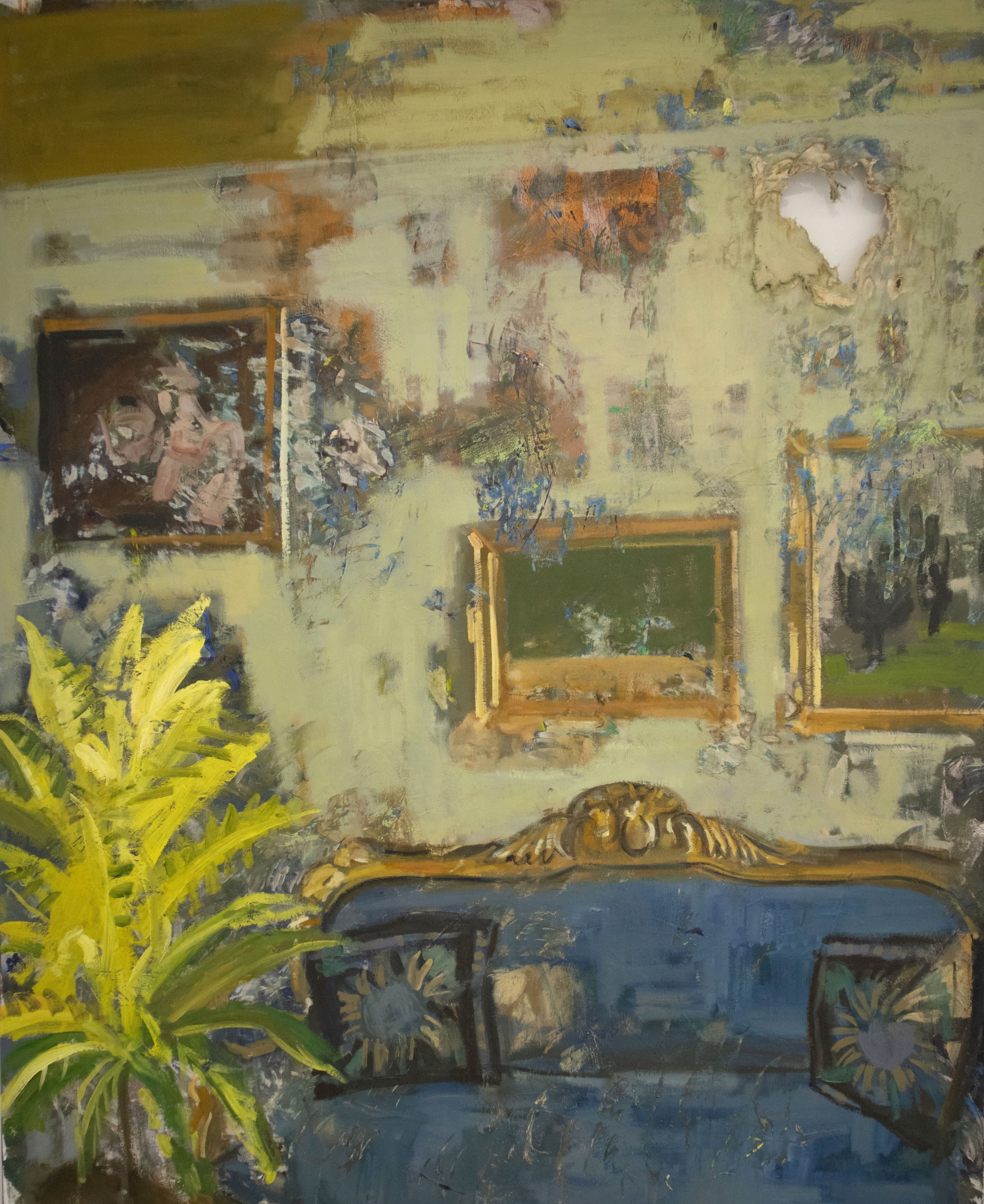 Croto amarillo y cuadritos