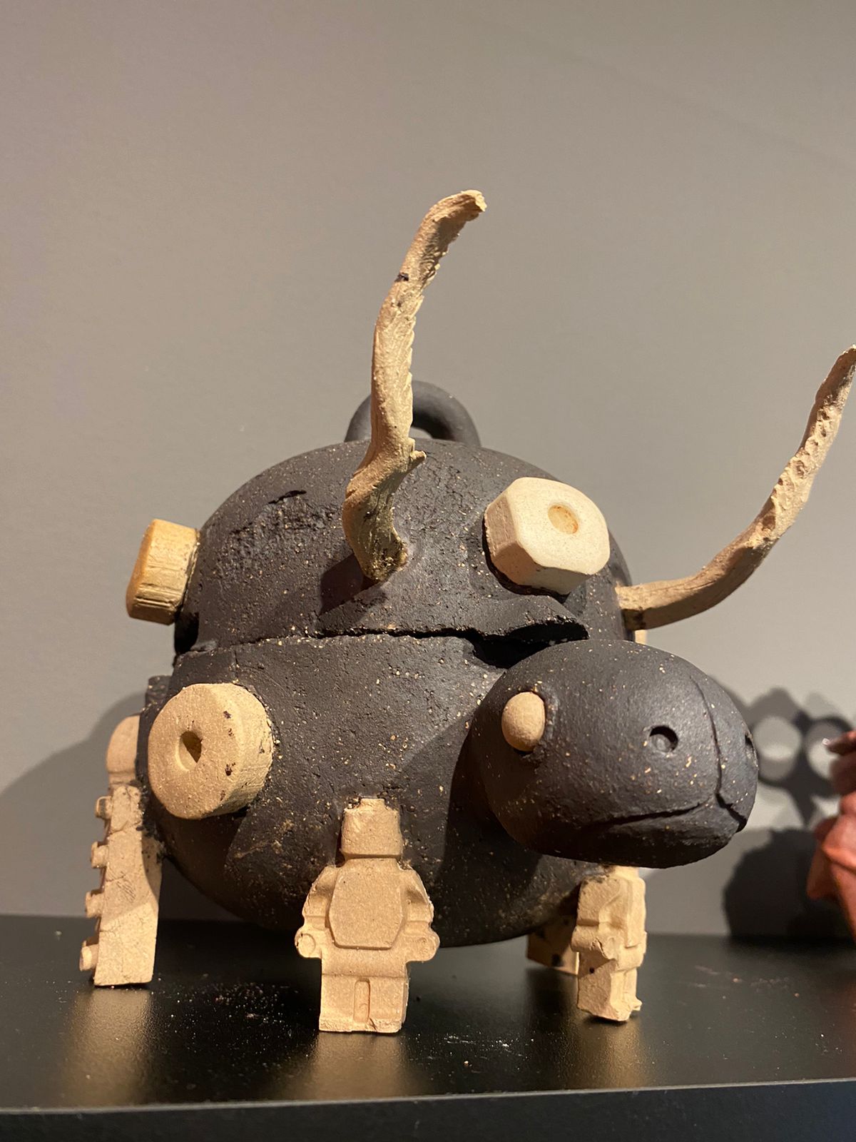 Tortuga