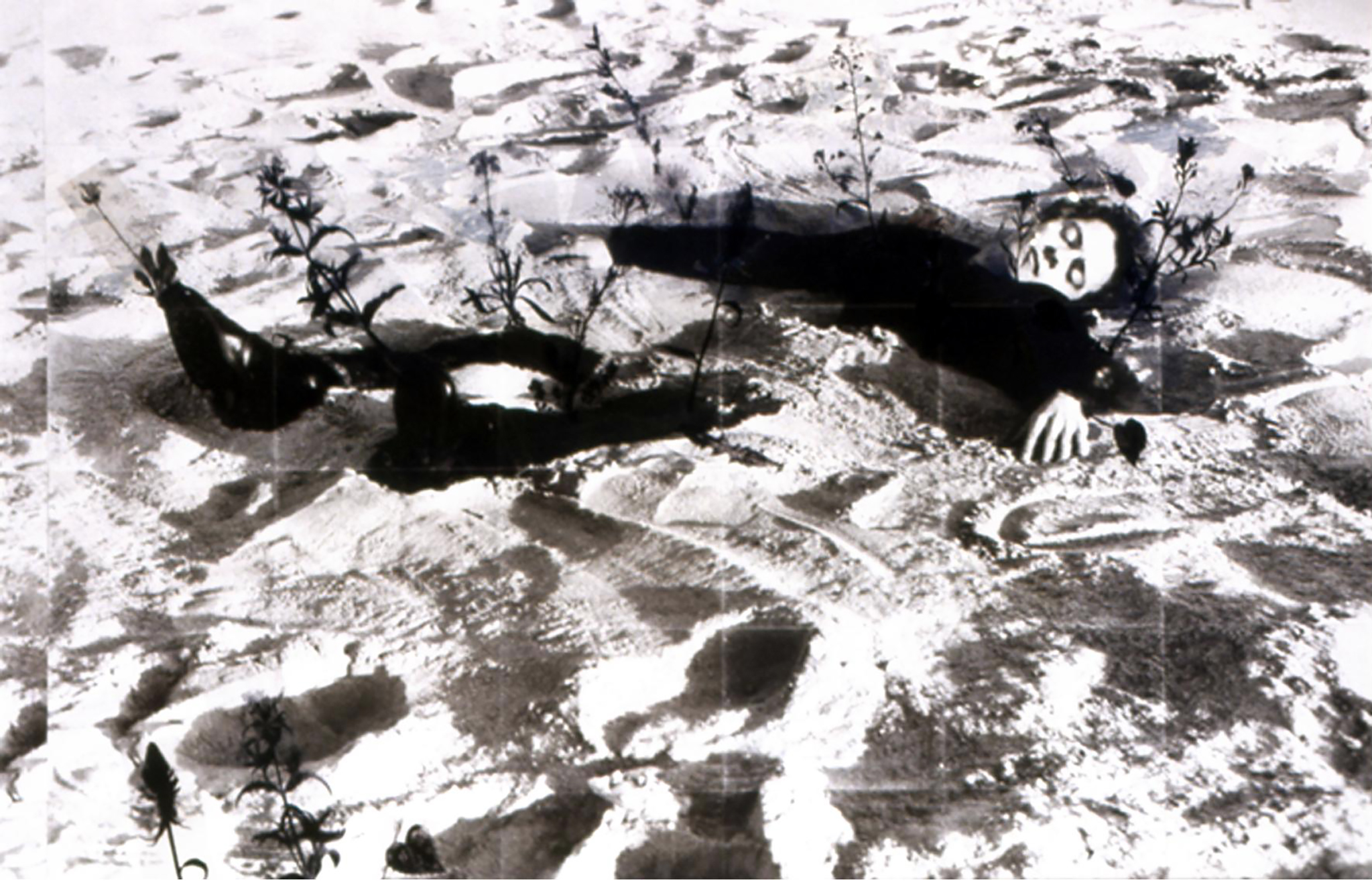 Simulacro V