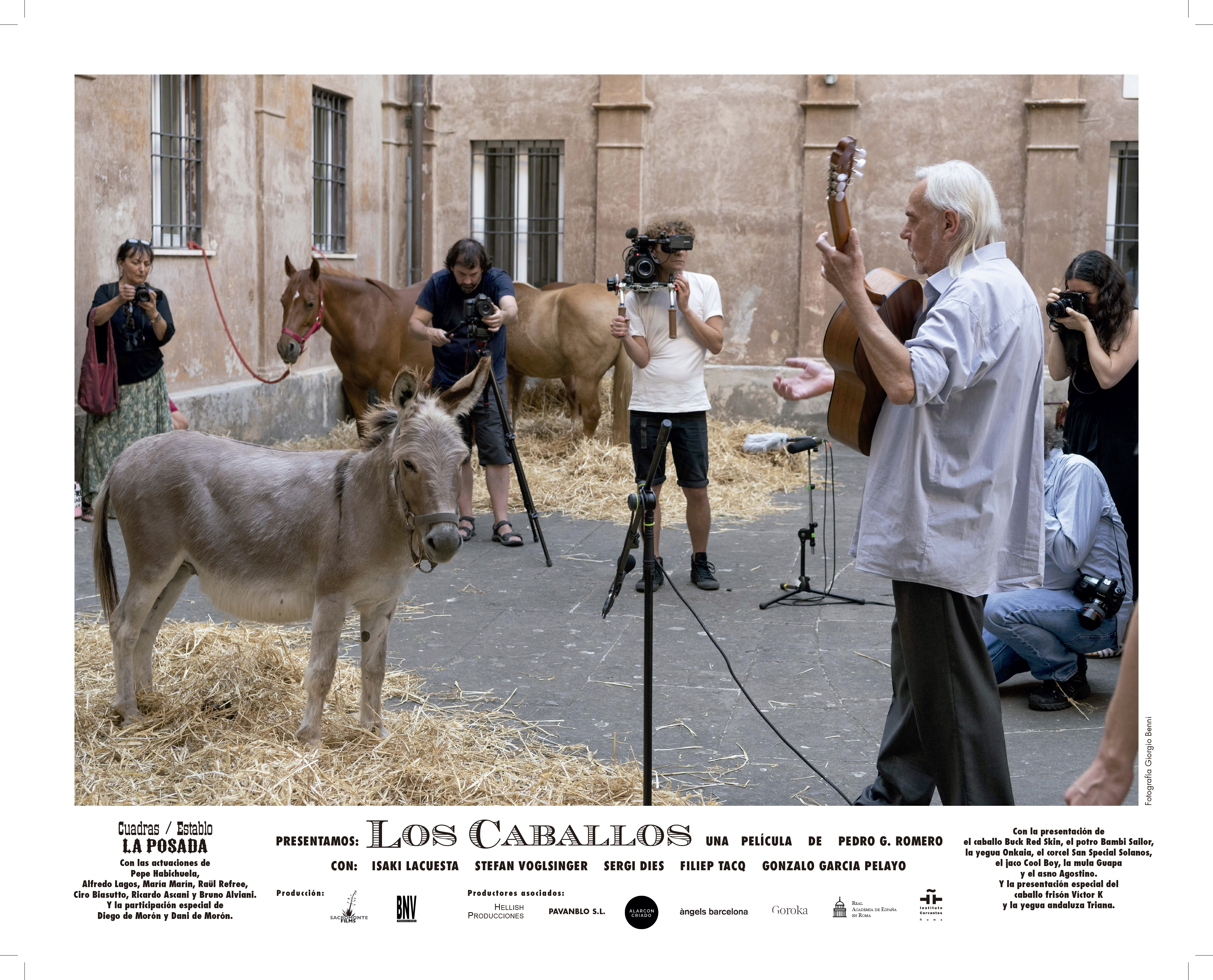LAS CARTELERAS #3 (IMAGEN)
