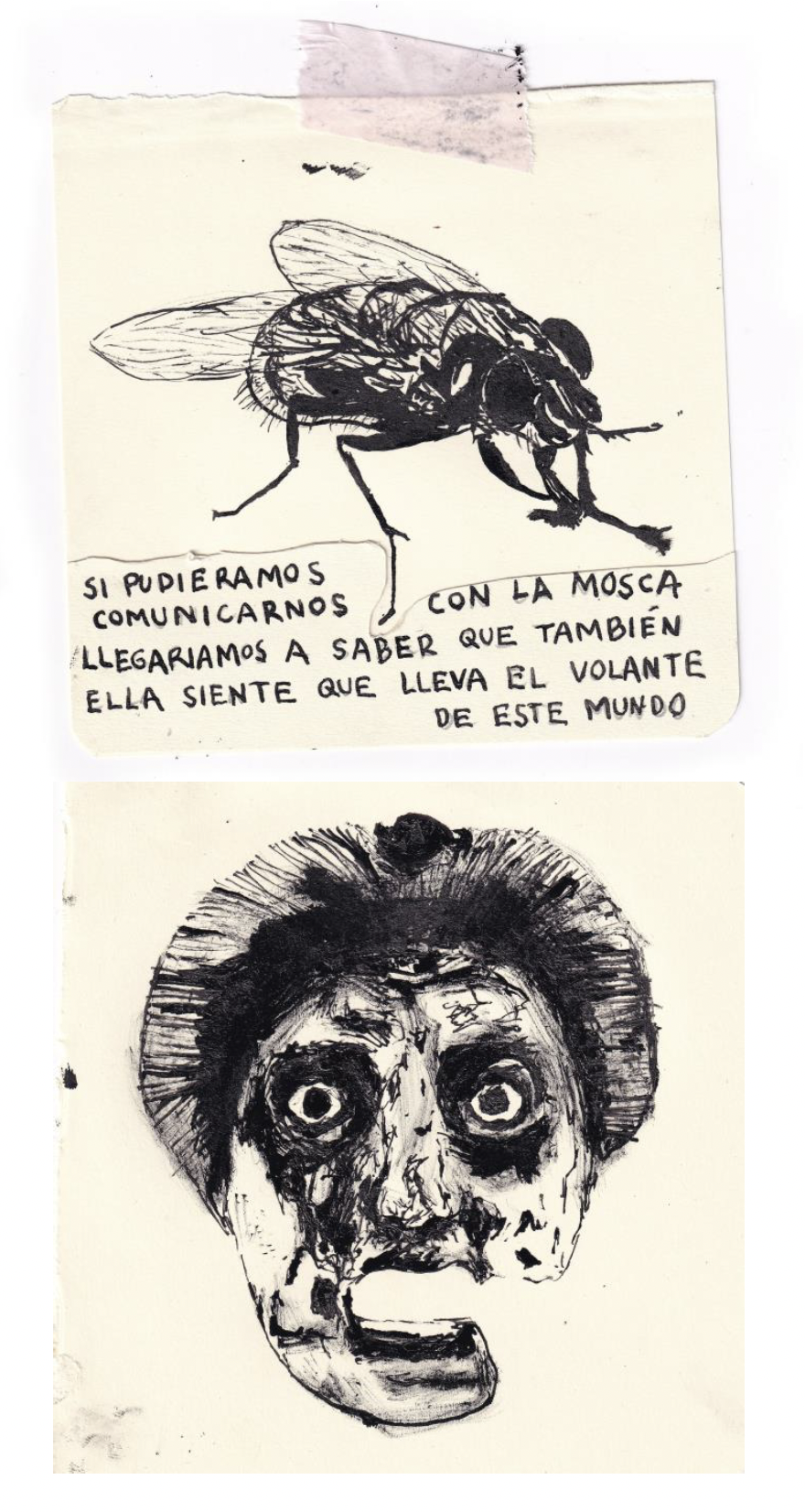 Fábula de la mosca y el hombre joven