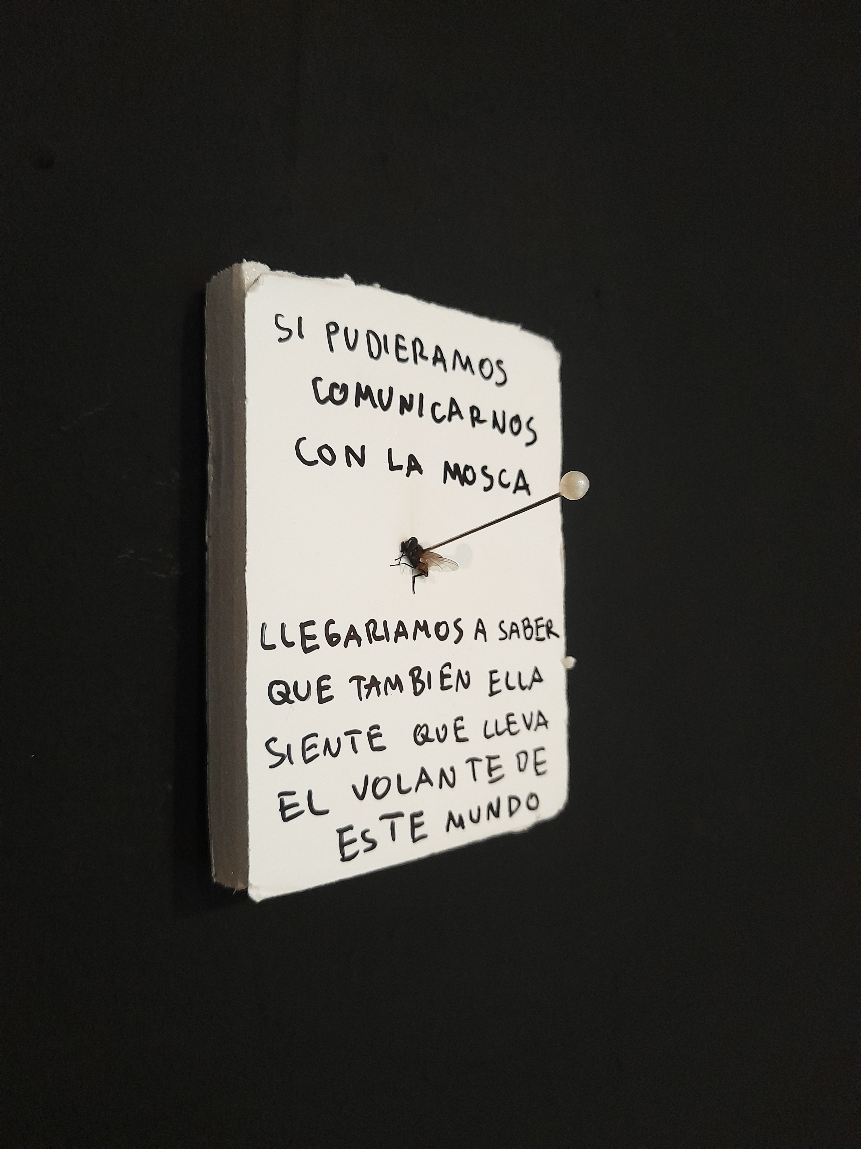 Si pudiéramos comunicarnos con la mosca