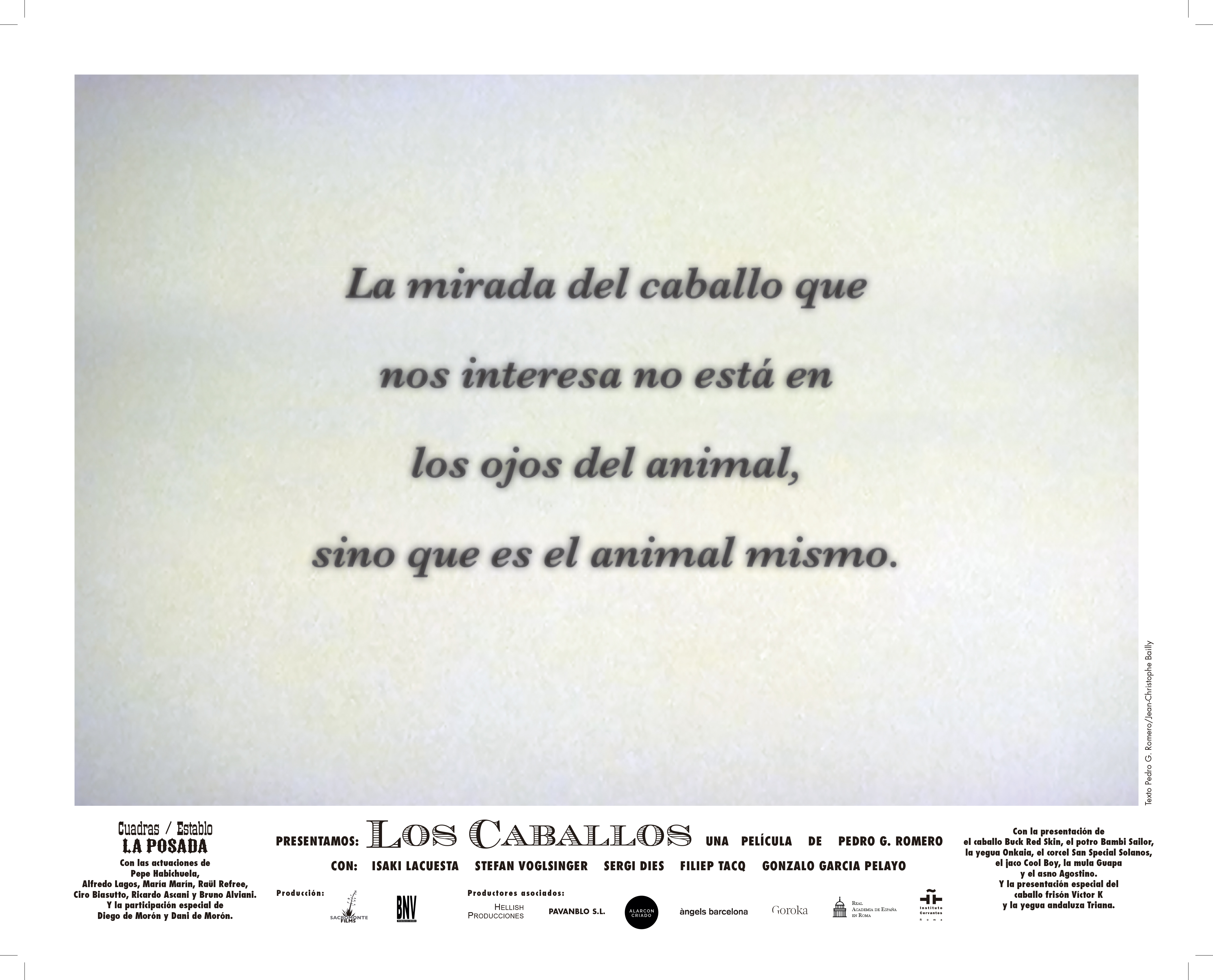 LAS CARTELERAS #8(TEXTO)