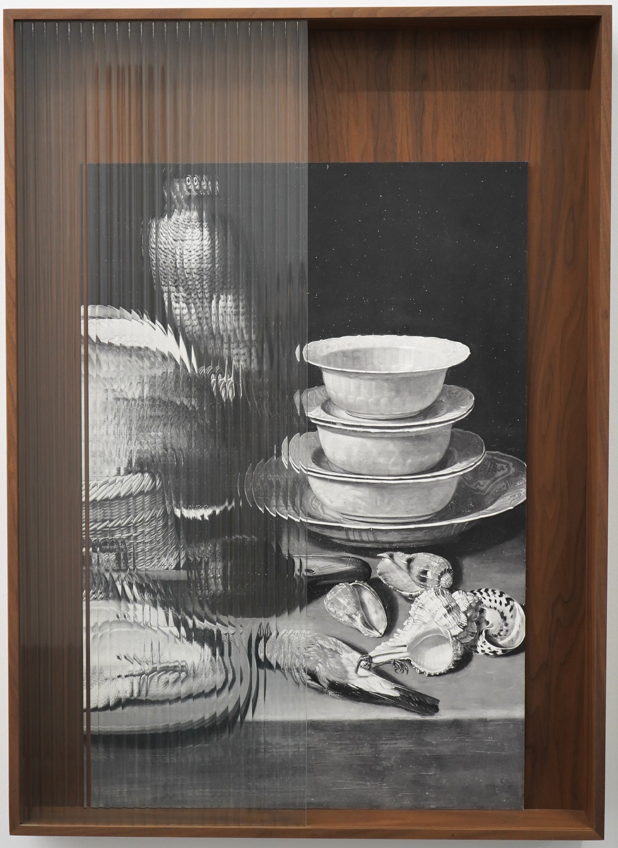 Domestic Matters ( Fowl, Porcelain and Shells II) 