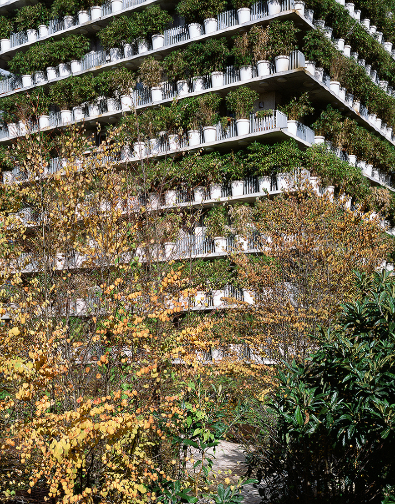 El macetero. Tower Flower, Paris