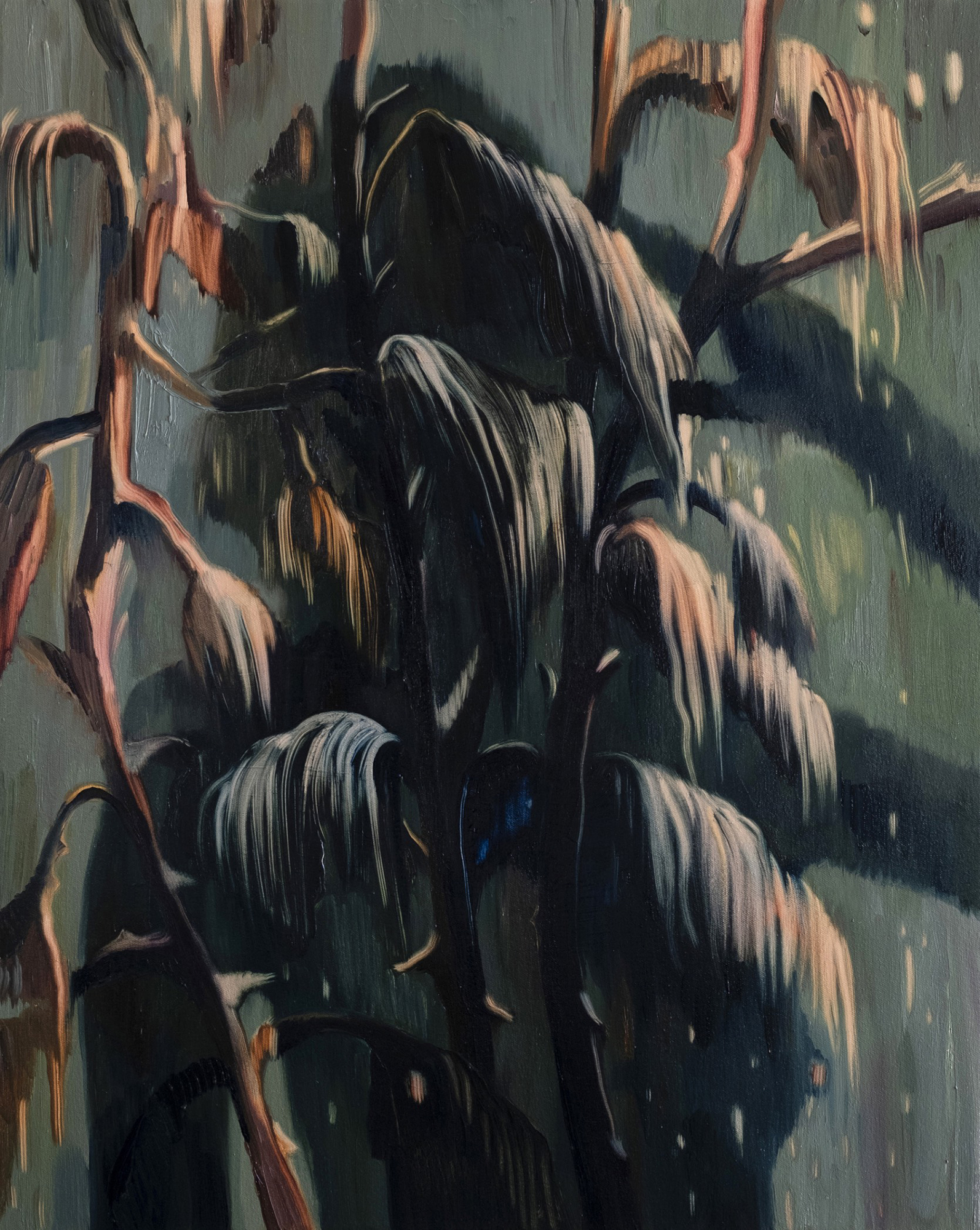 Belong to Nature II