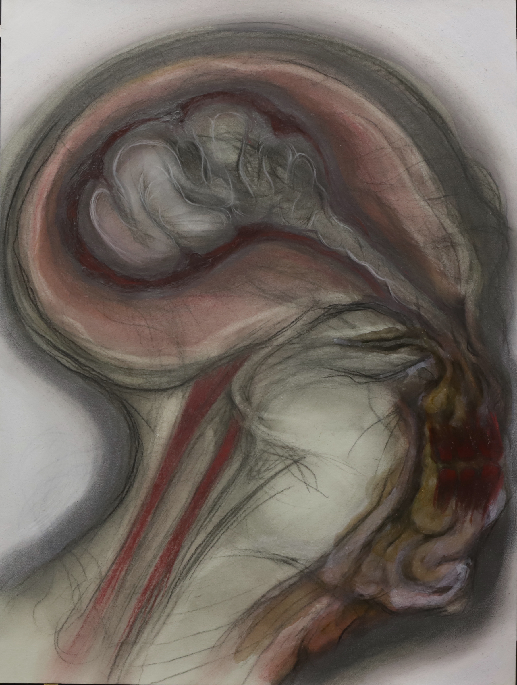 Cabeza XII