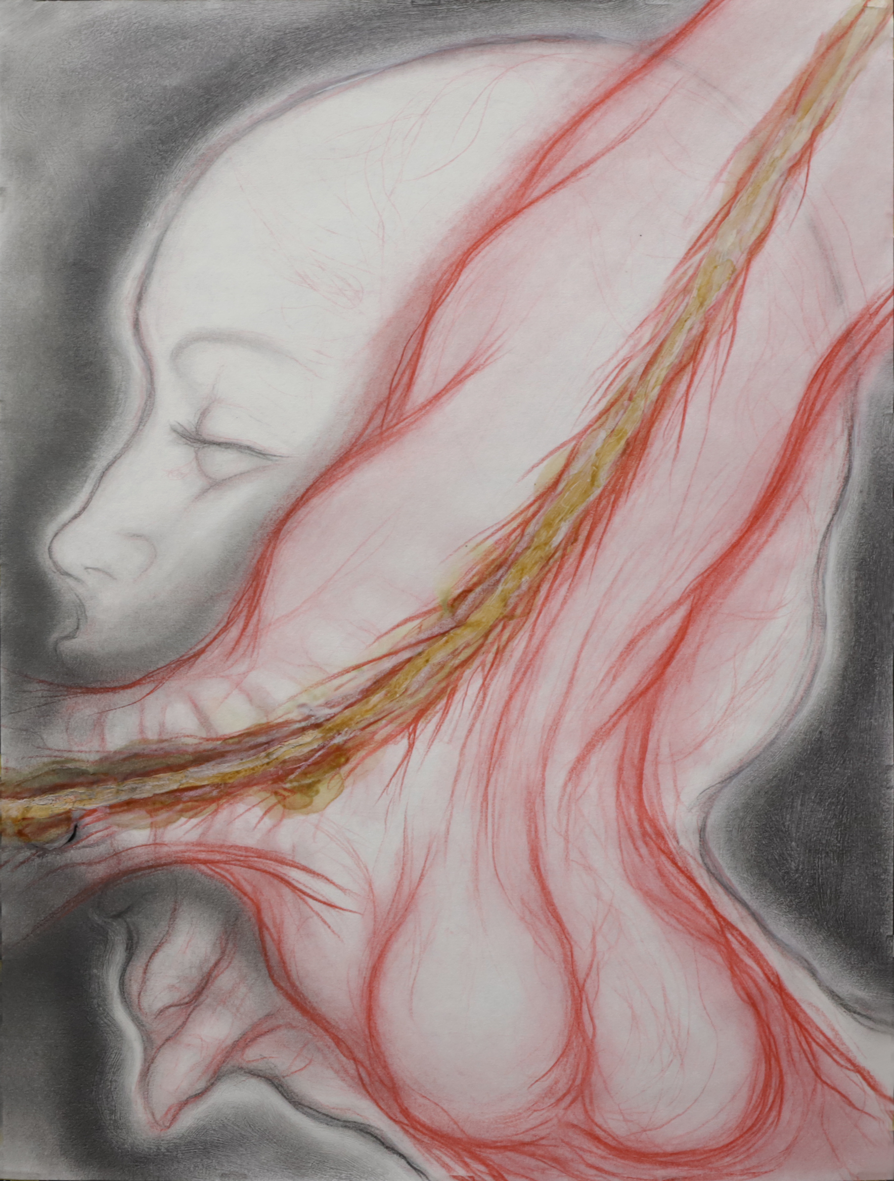 Cabeza VII