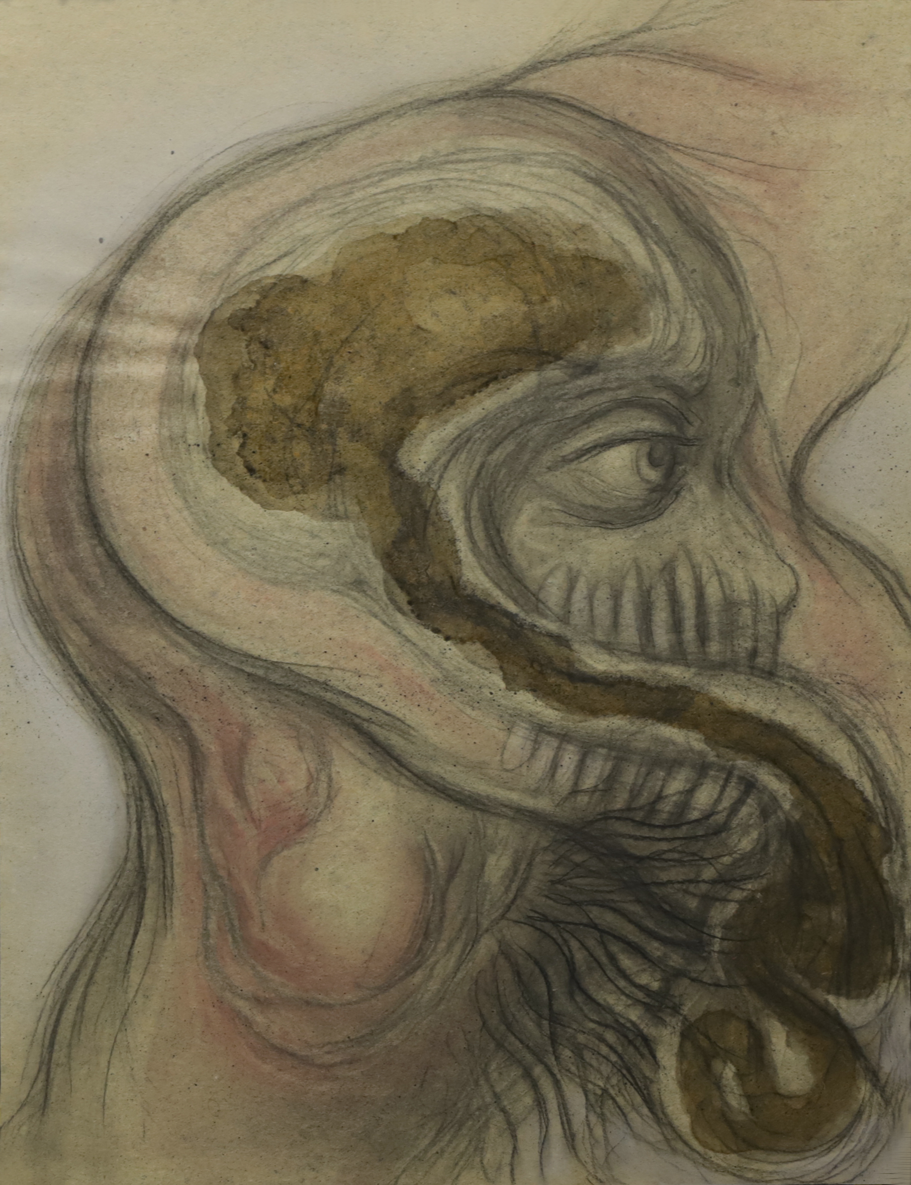 Cabeza VI