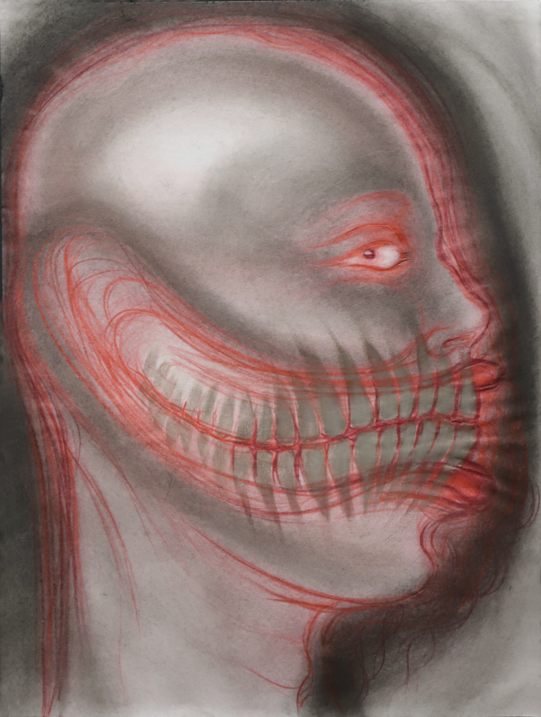 Cabeza IV