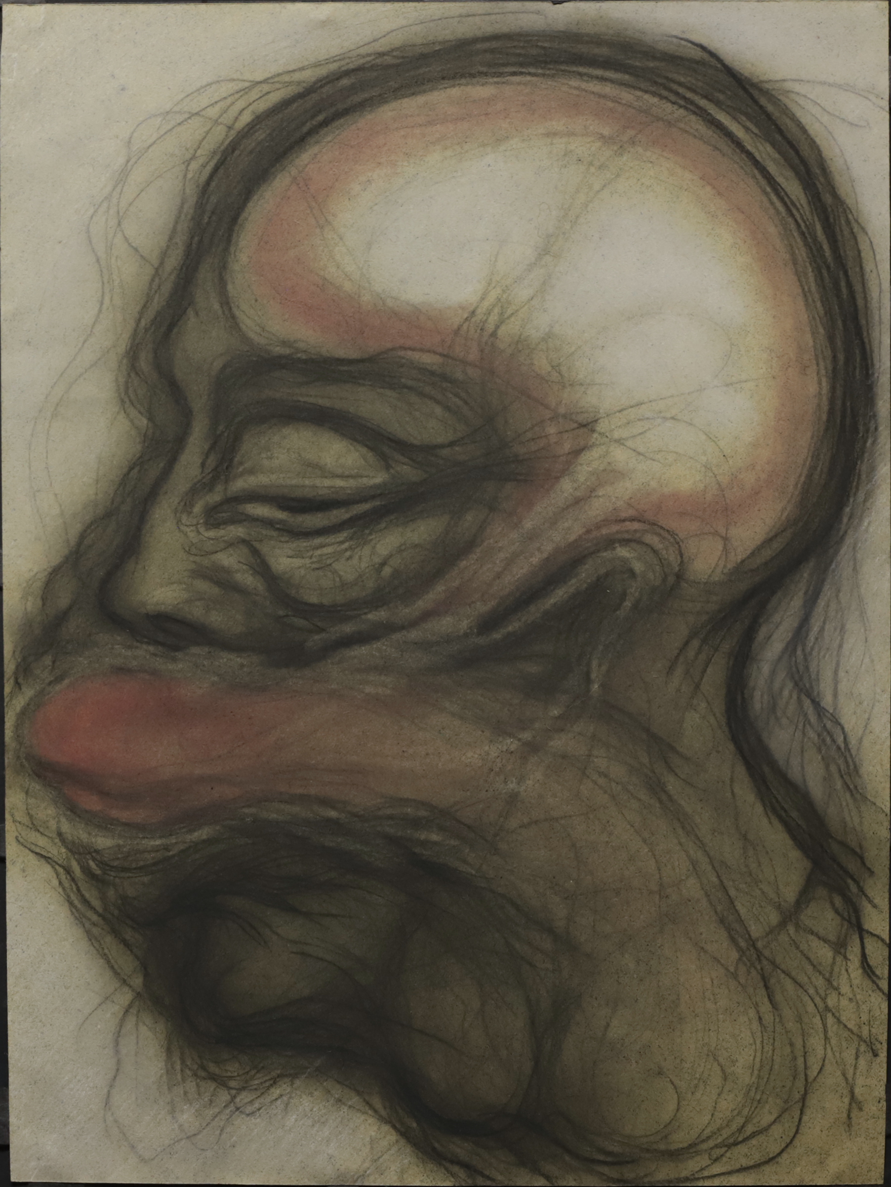 Cabeza VIII