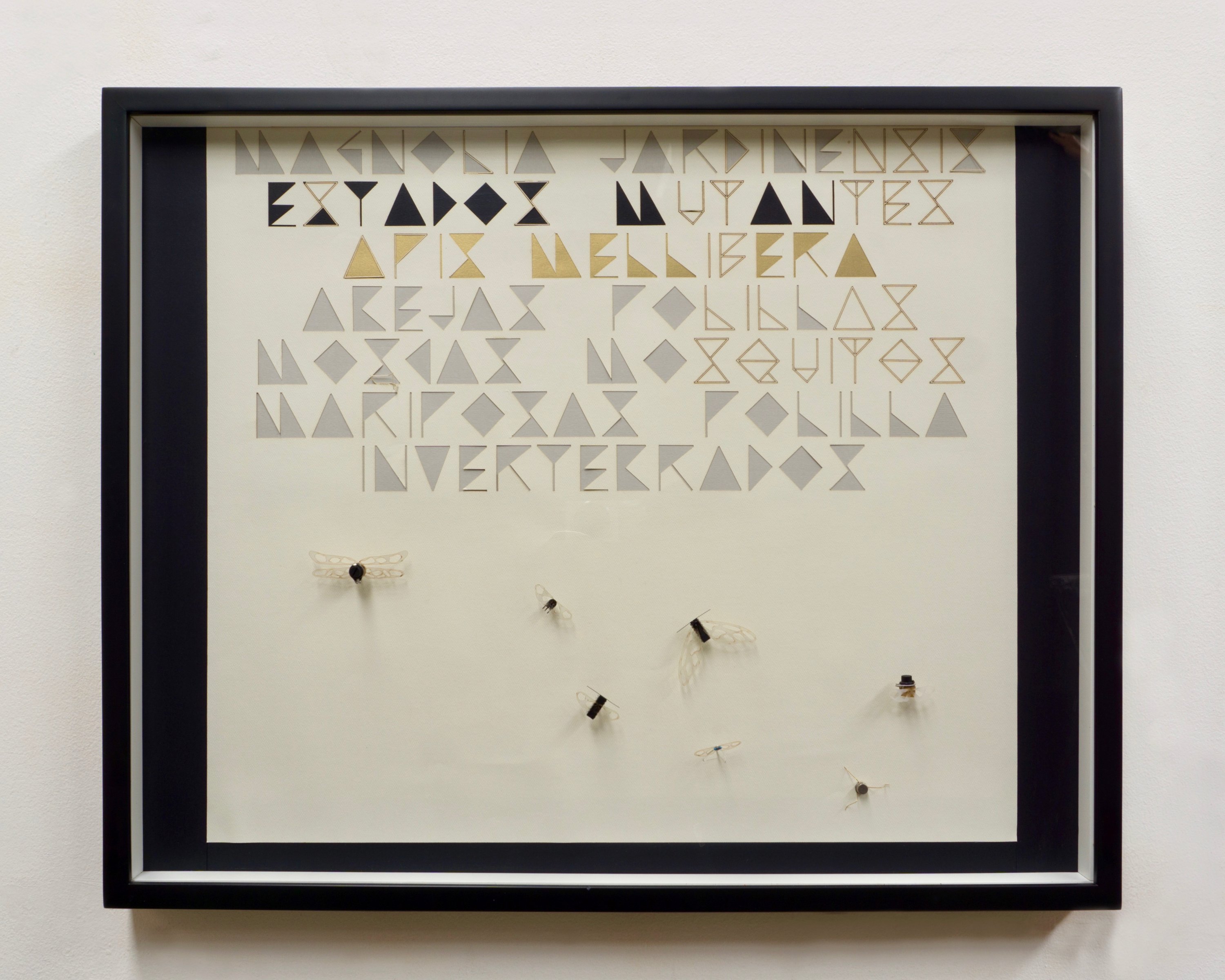 Cartel de Extinción No. 10