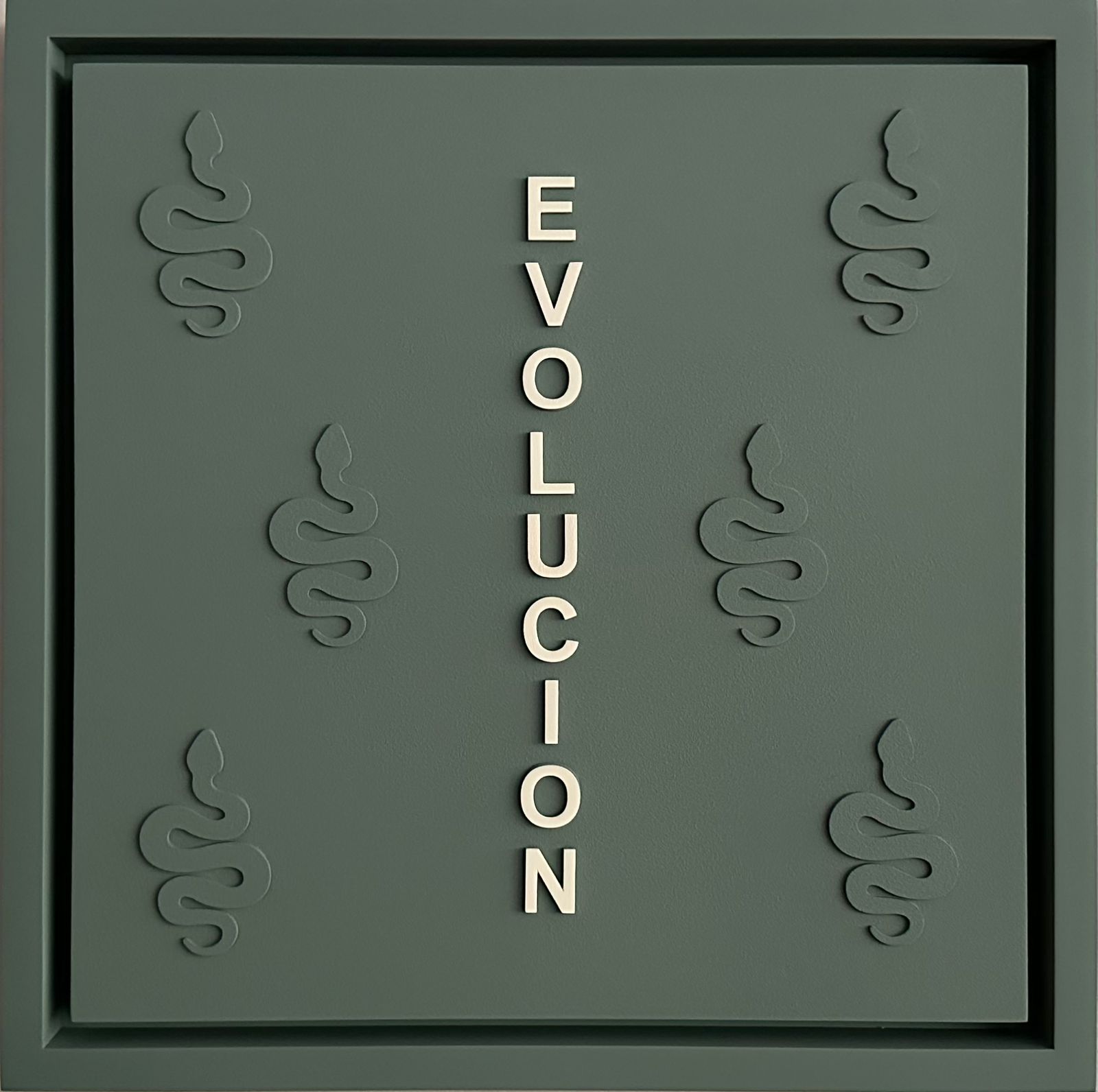 Evolución