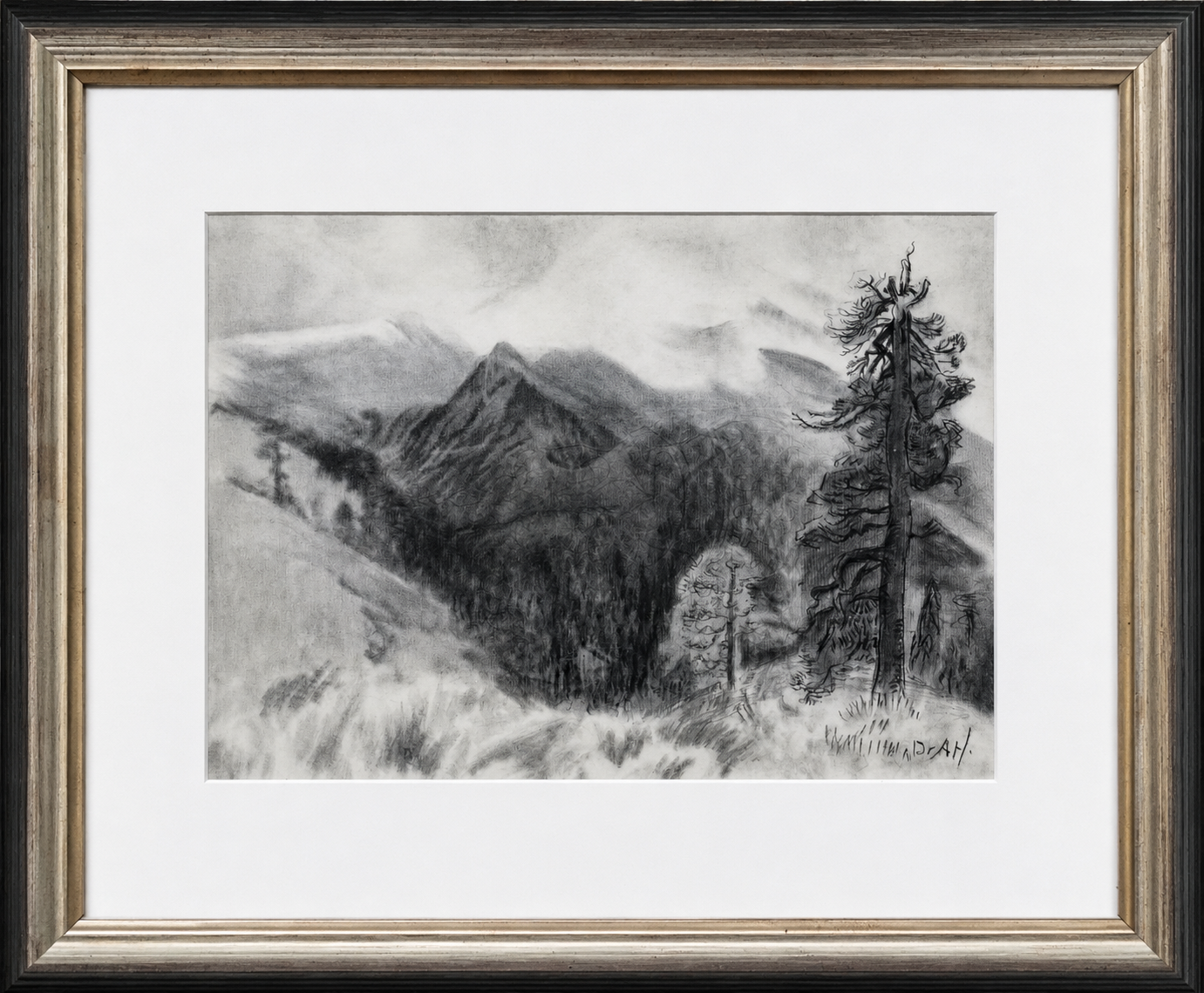 El Pino y la Montaña
