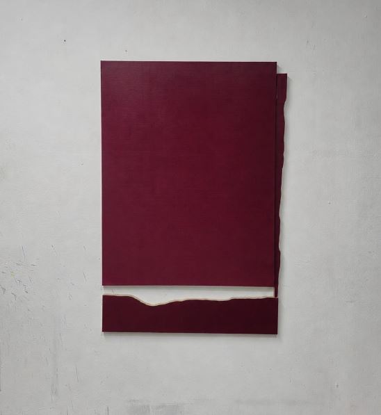 S/T ..F.P Magenta II