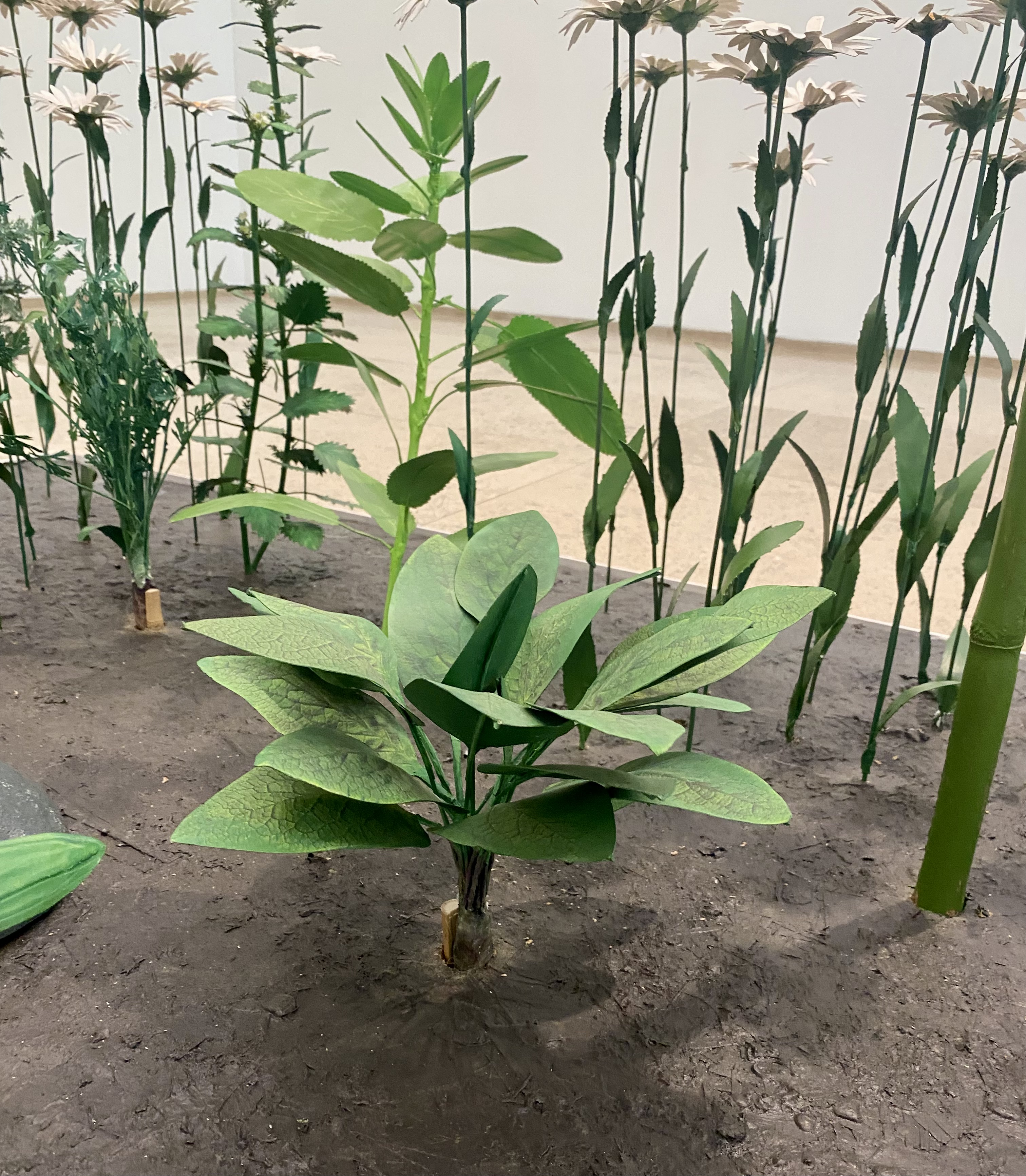 Planta 2