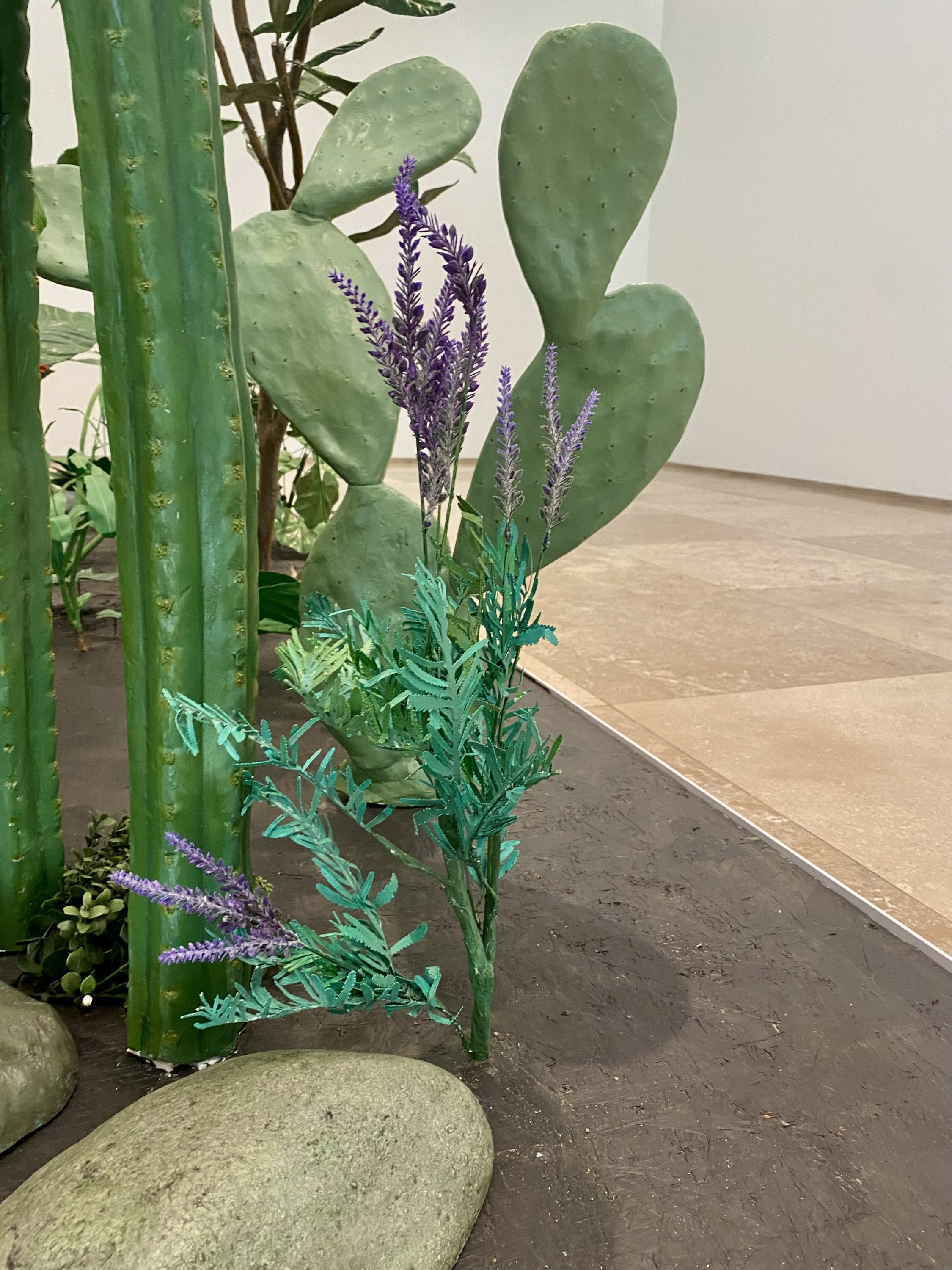 Lavanda